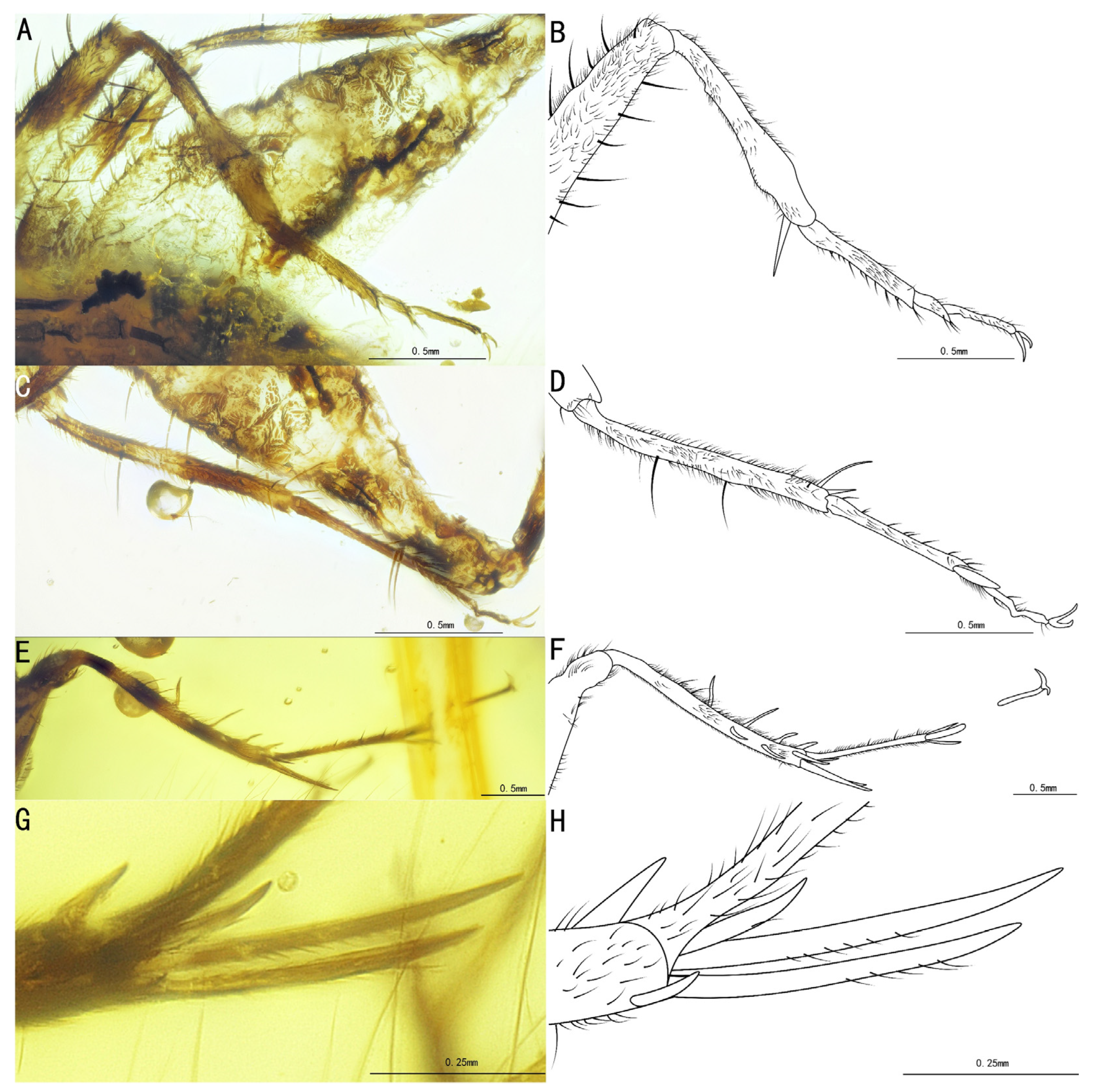 Insects 15 00442 g009