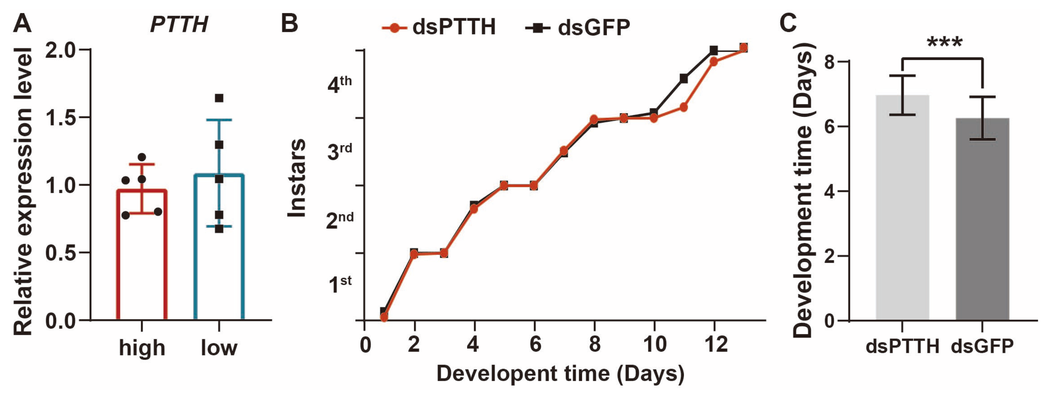 Insects 15 00443 g004