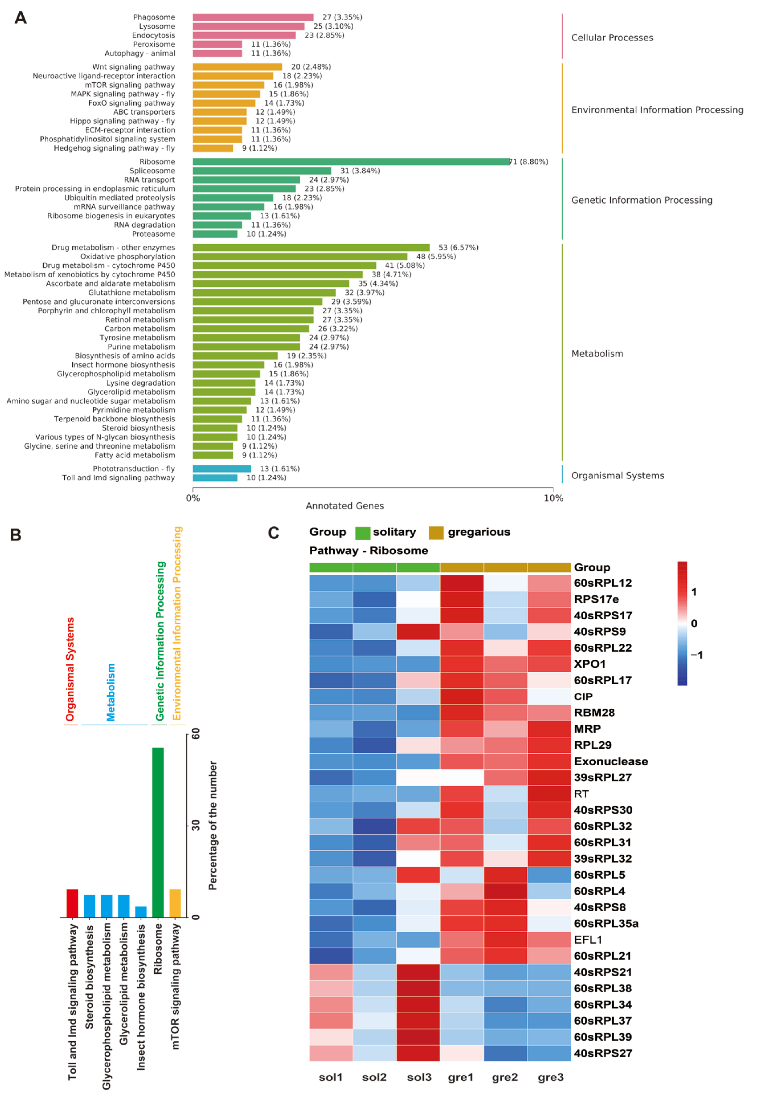 Insects 15 00443 g006