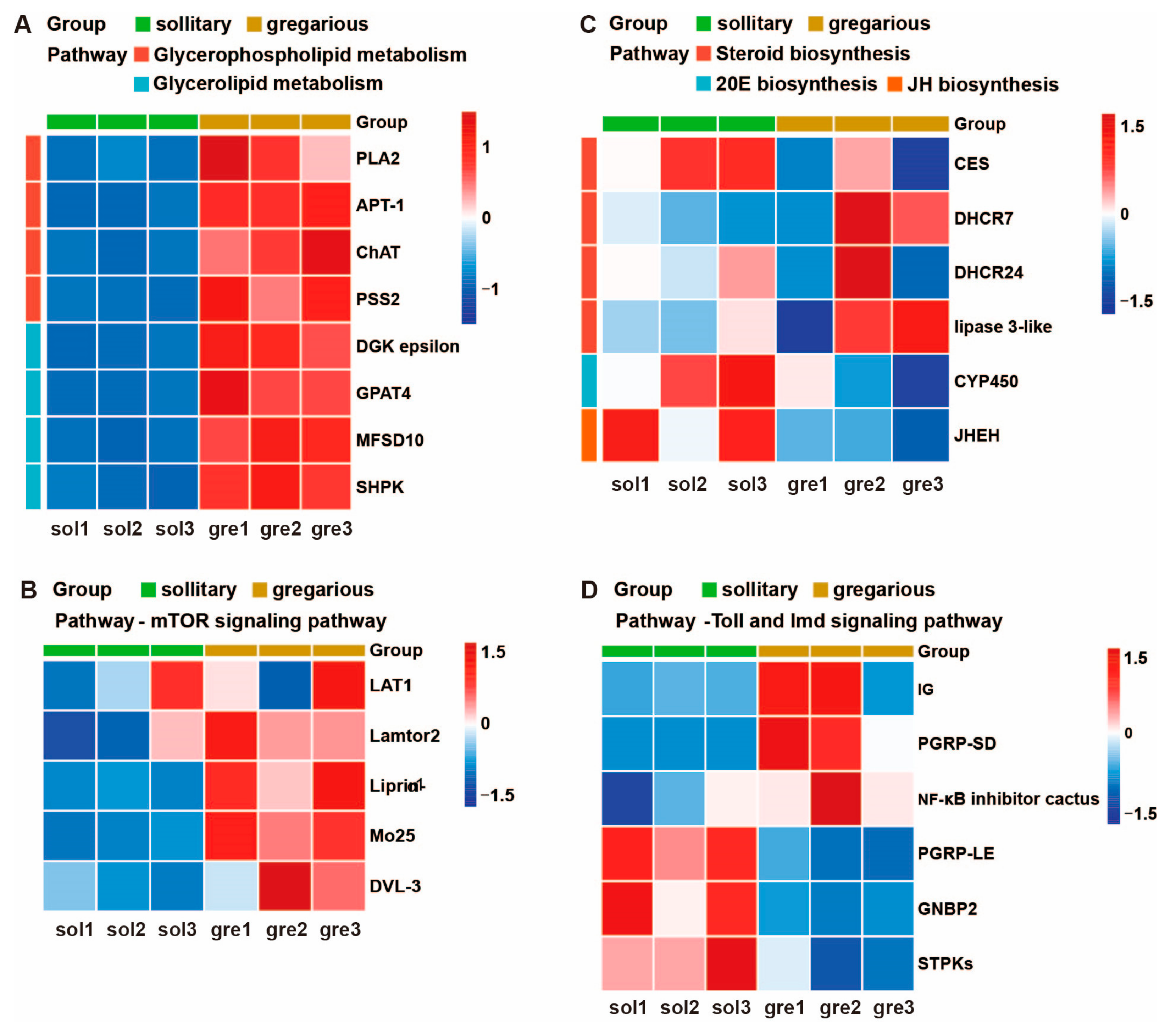 Insects 15 00443 g007