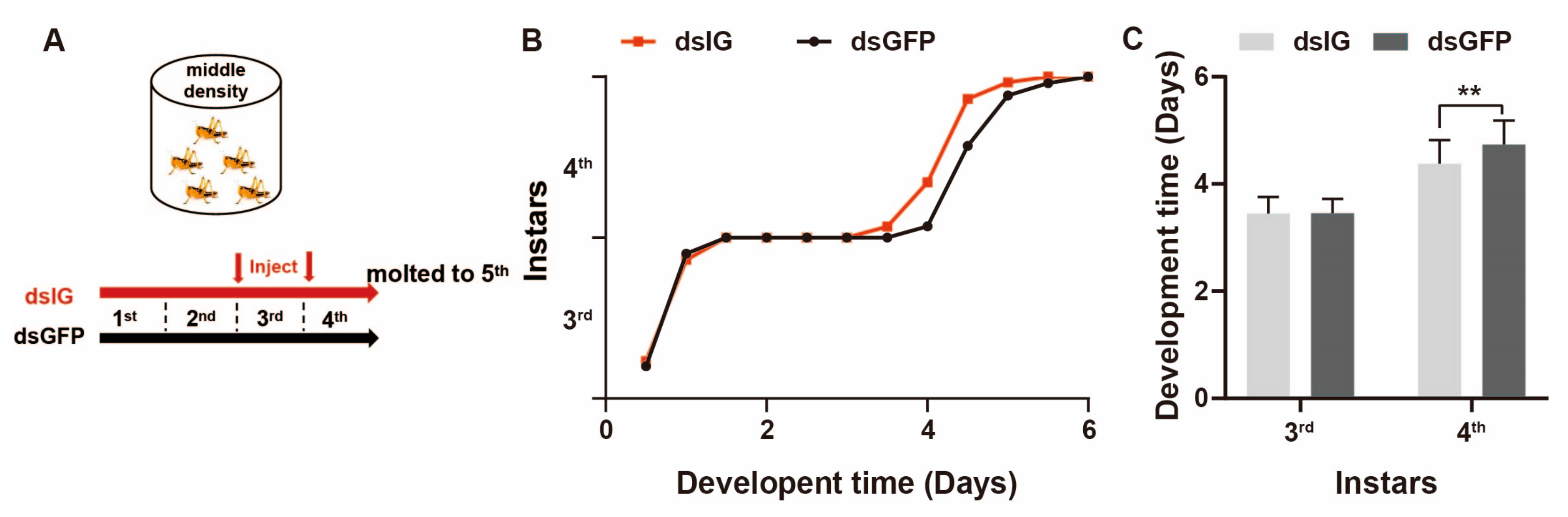 Insects 15 00443 g008