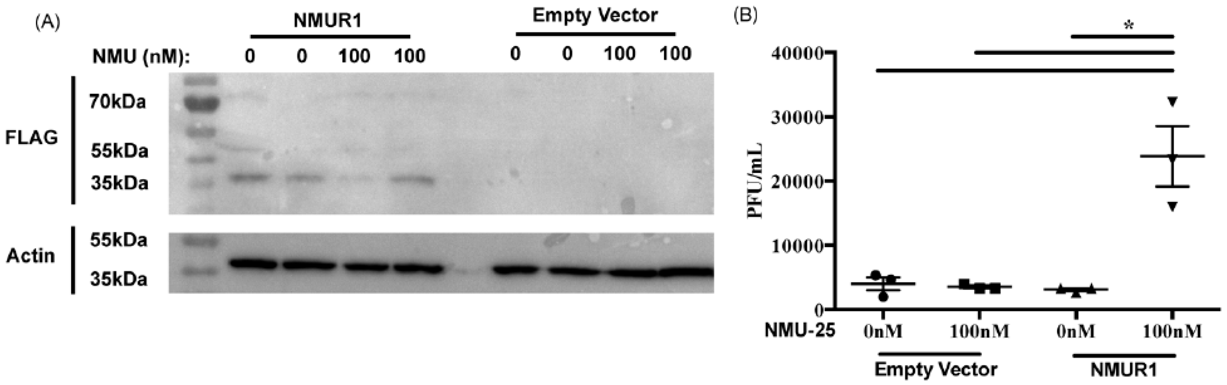 Insects 15 00446 g005