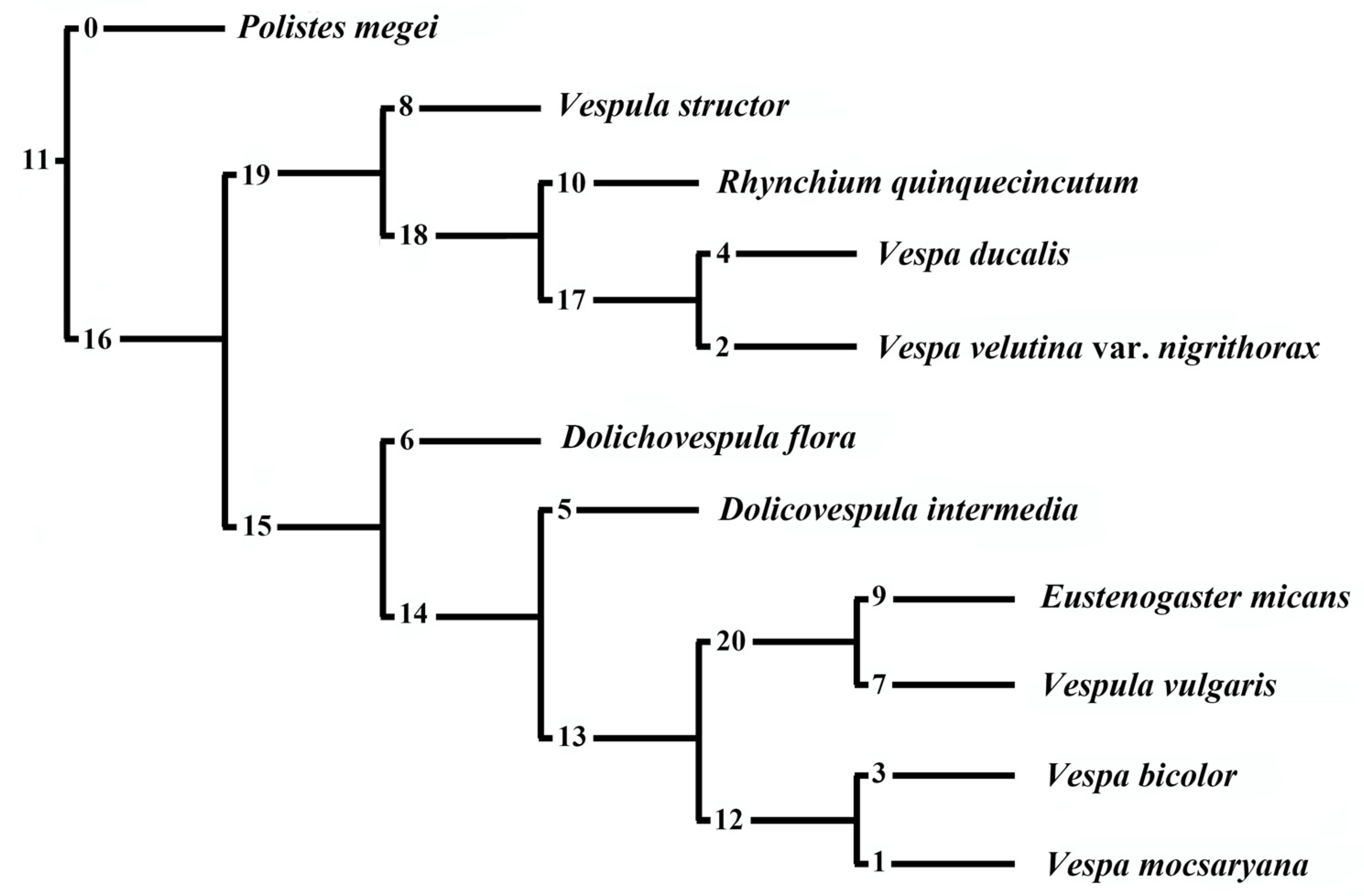Insects 15 00448 g009