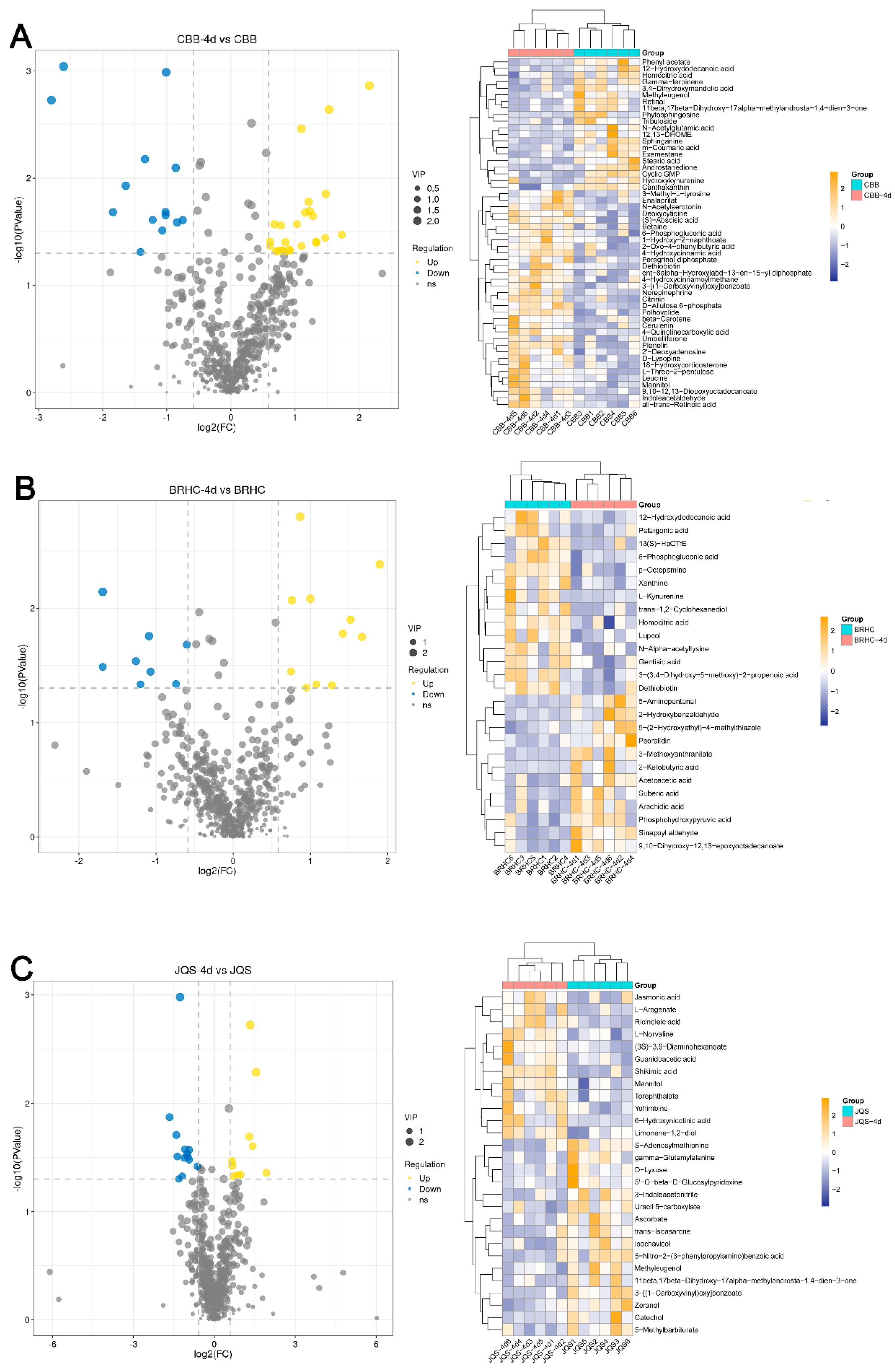 Insects 15 00454 g006