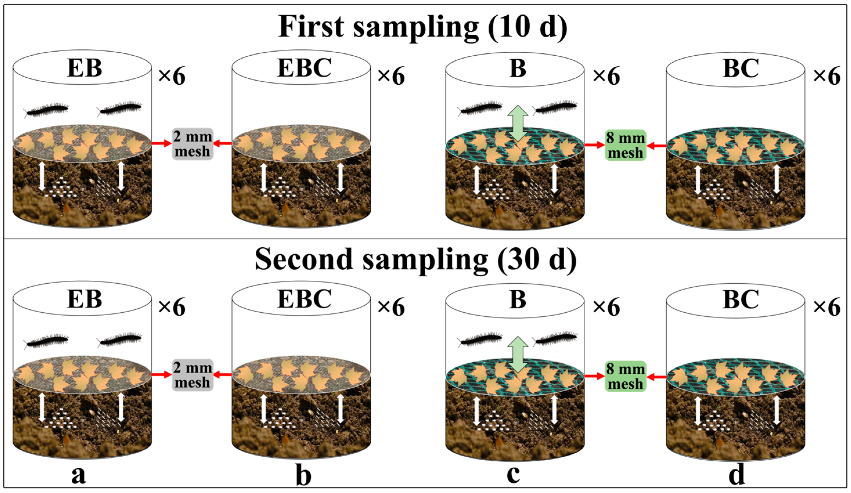 Insects 15 00456 g001