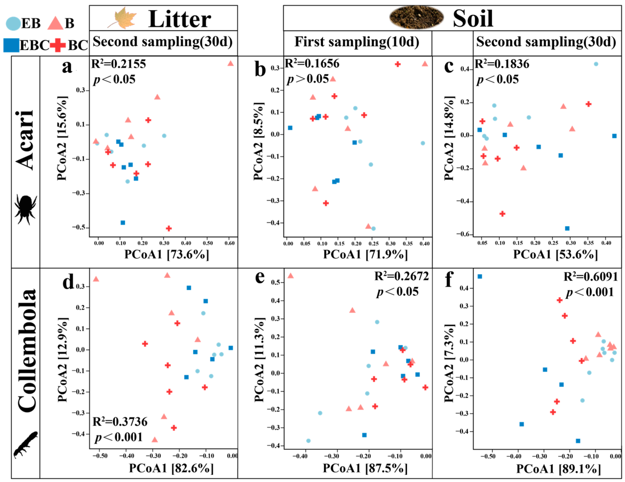 Insects 15 00456 g004