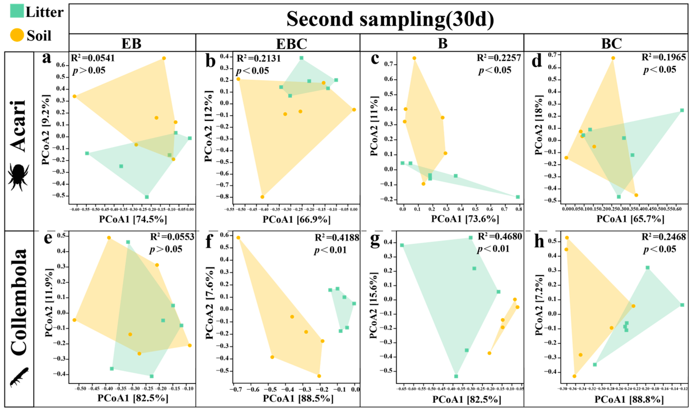 Insects 15 00456 g006