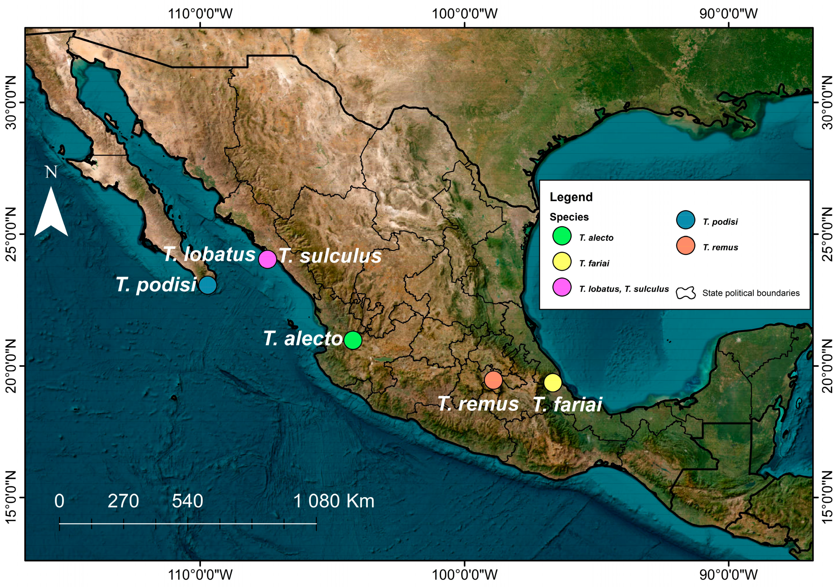 Insects 15 00468 g001