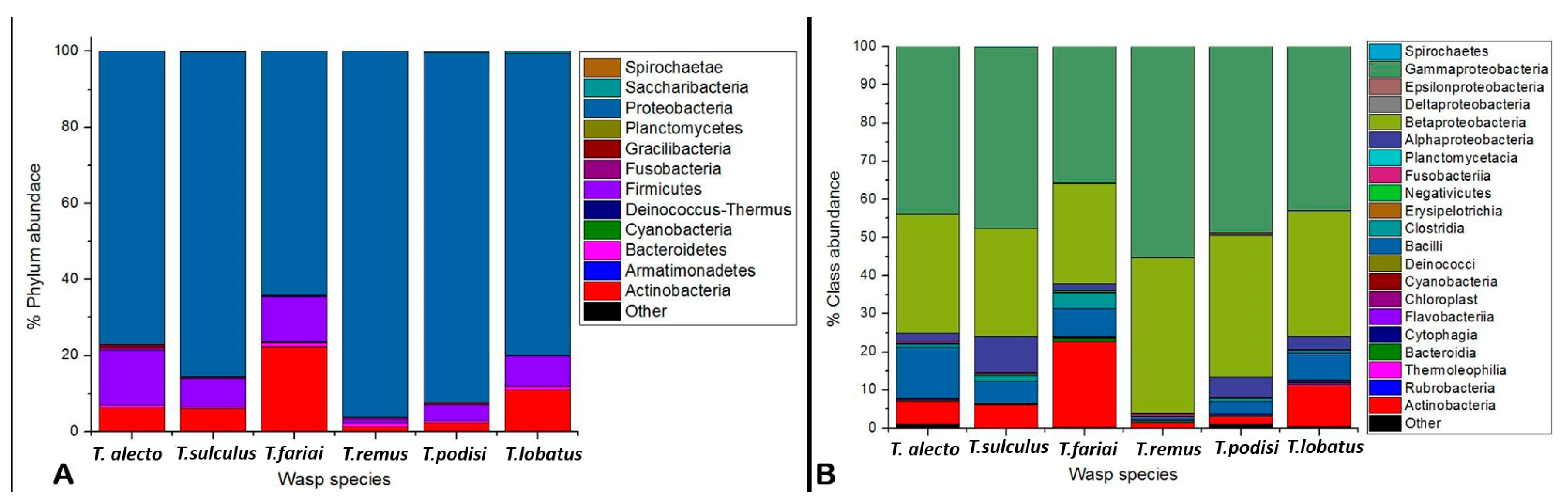 Insects 15 00468 g002