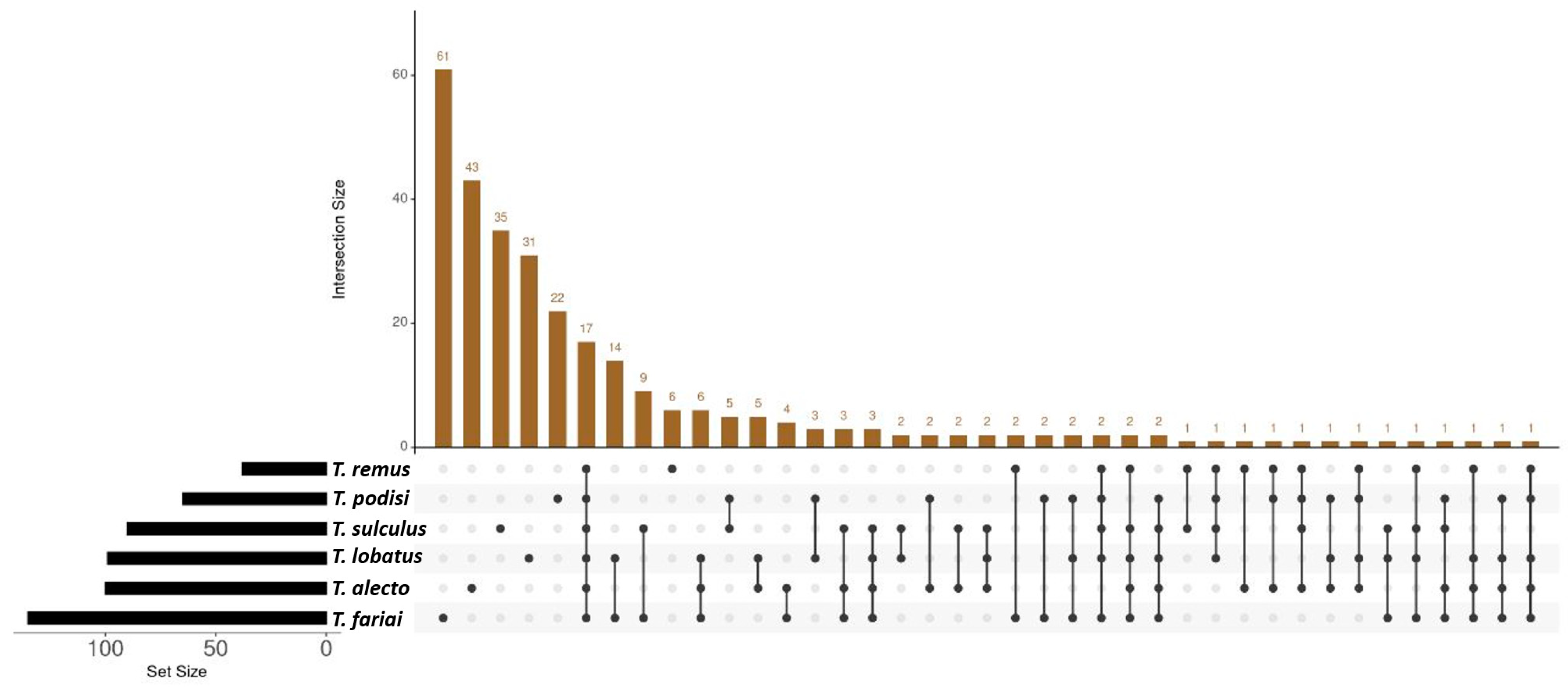 Insects 15 00468 g004