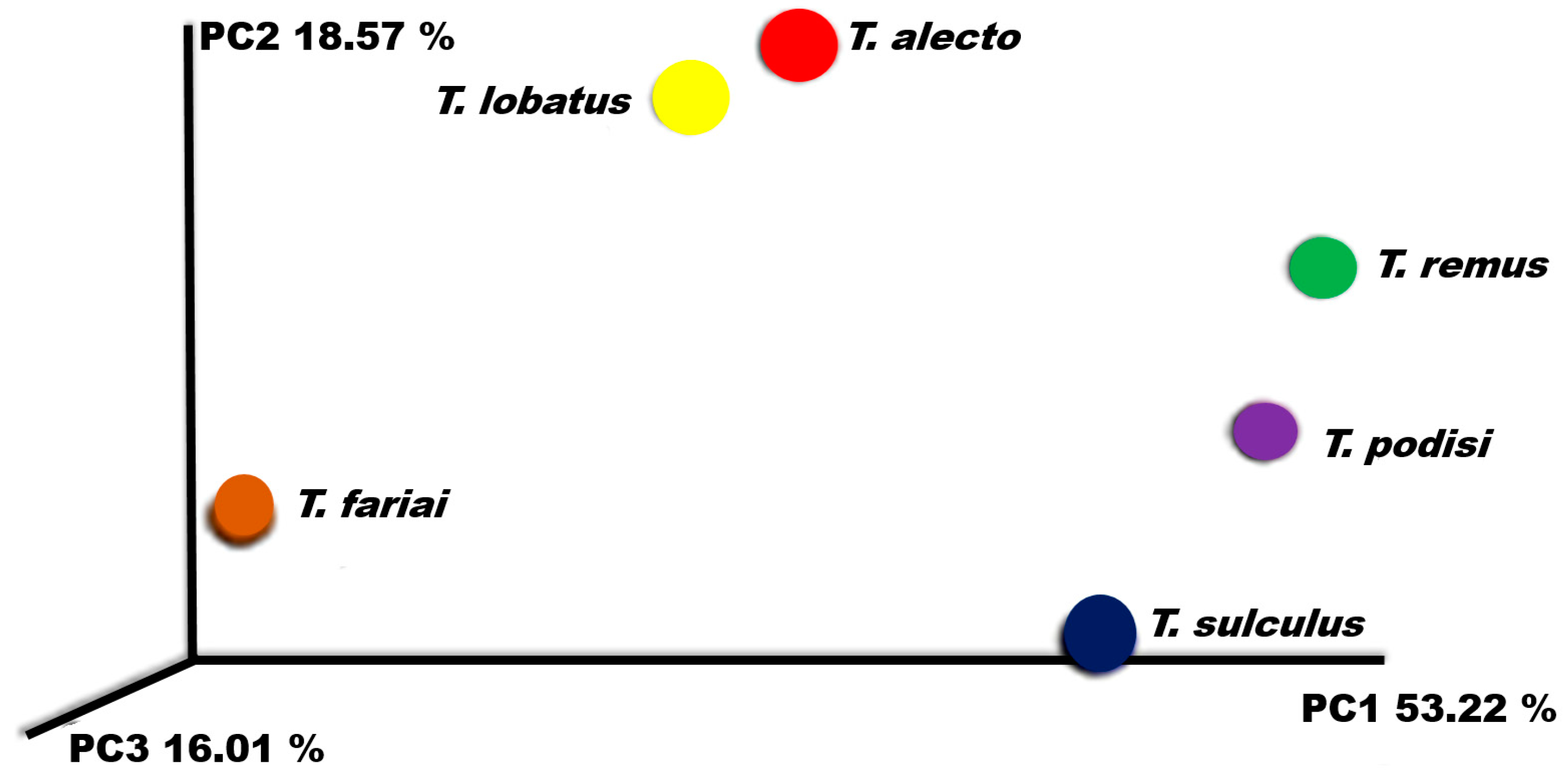 Insects 15 00468 g008