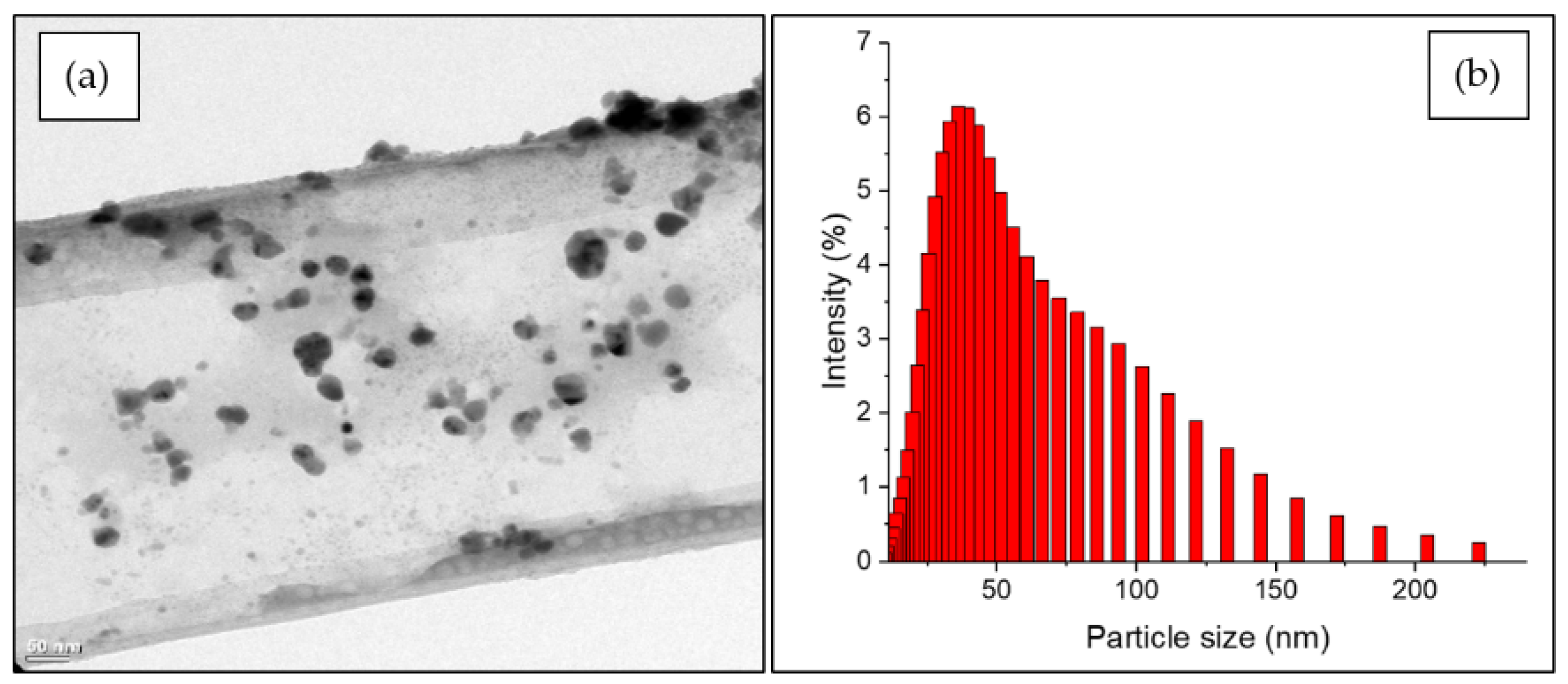 Insects 15 00469 g002