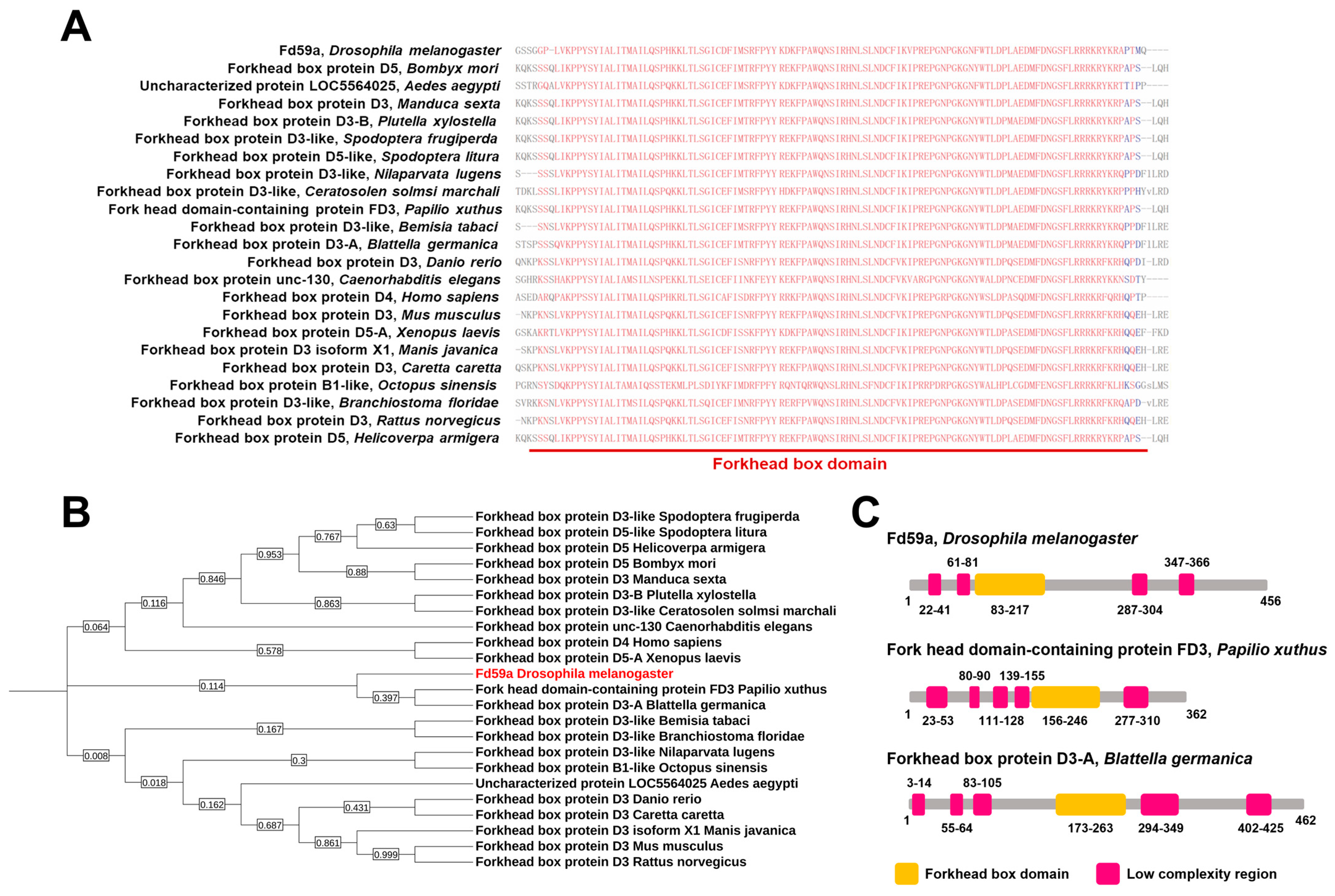 Insects 15 00480 g002 Insects 15 00480 g002