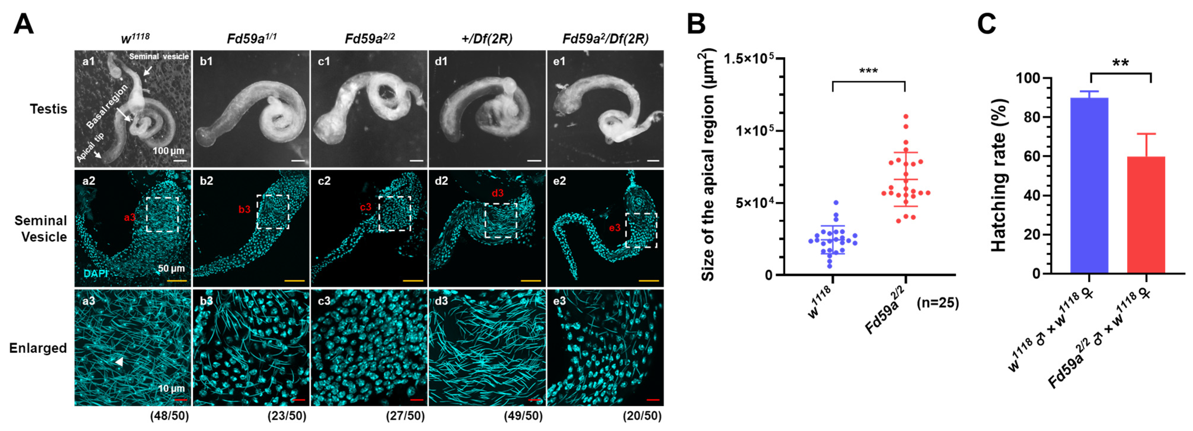 Insects 15 00480 g003 Insects 15 00480 g003