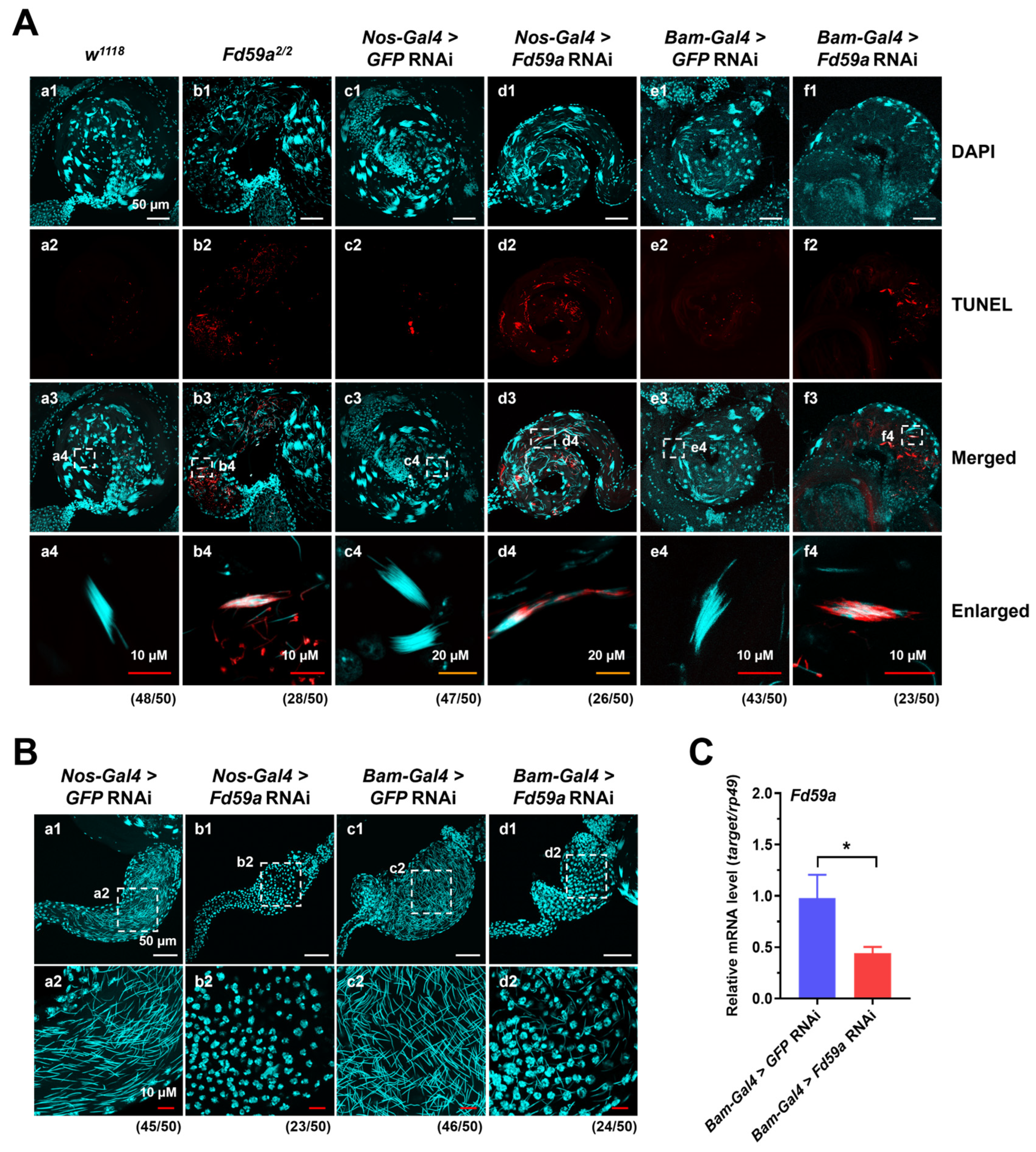 Insects 15 00480 g005 Insects 15 00480 g005