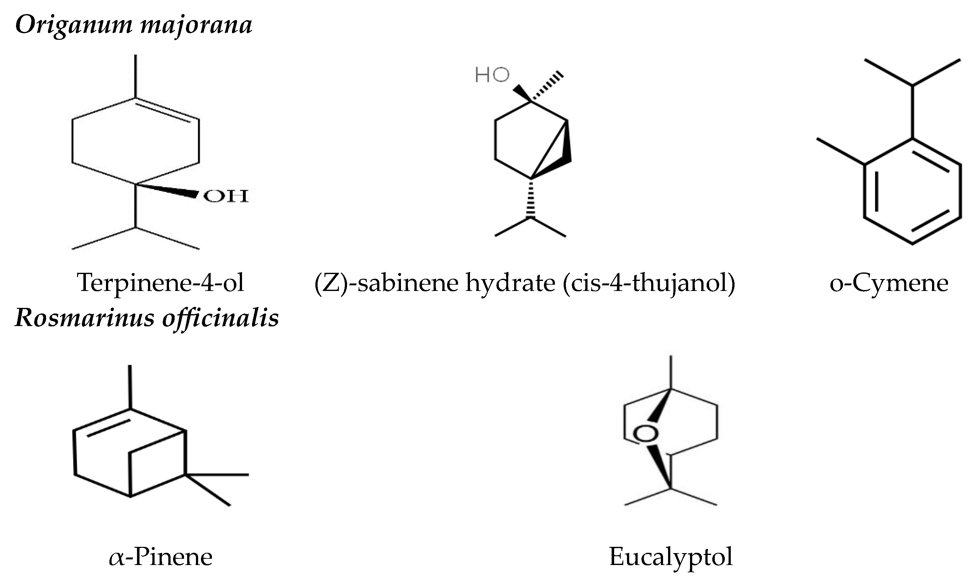 Insects 15 00483 g001