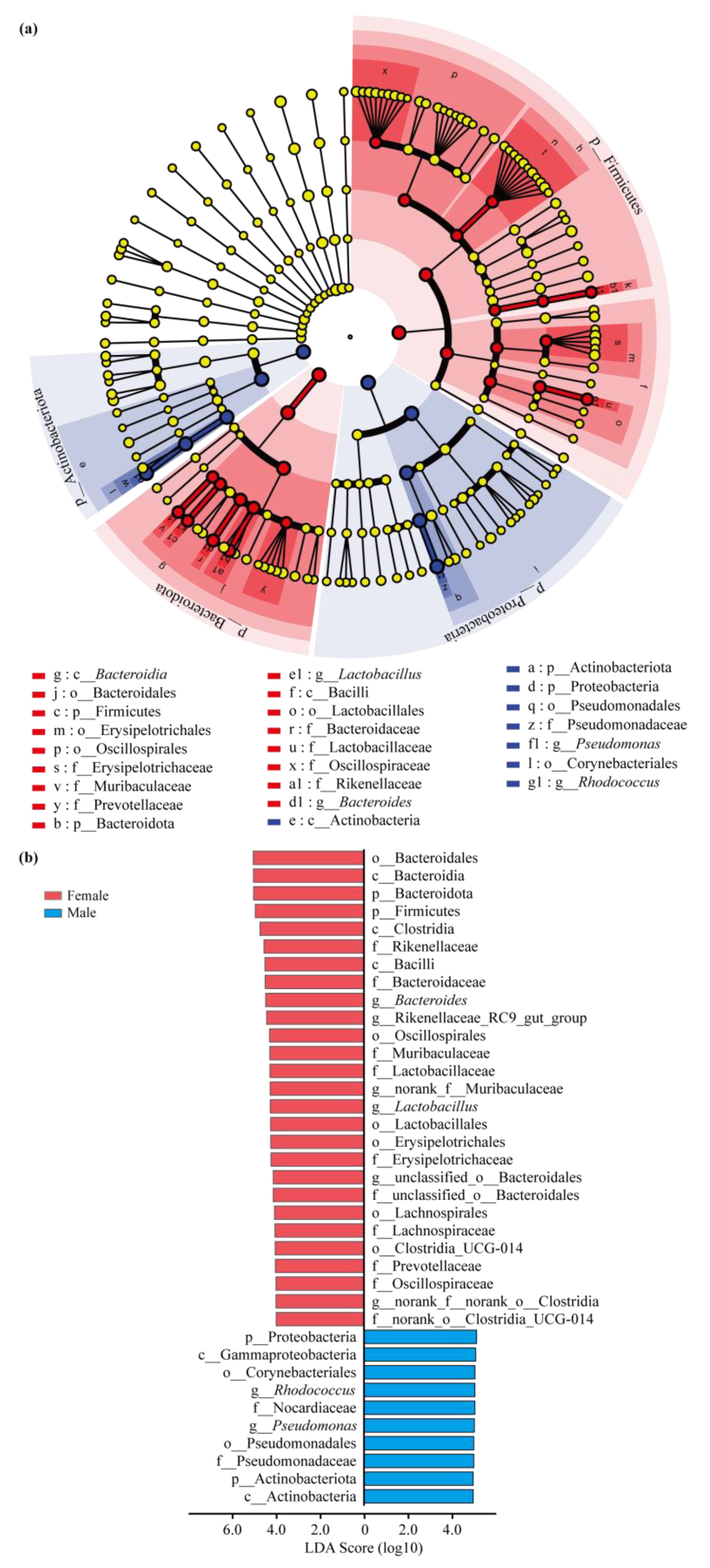 Insects 15 00490 g005