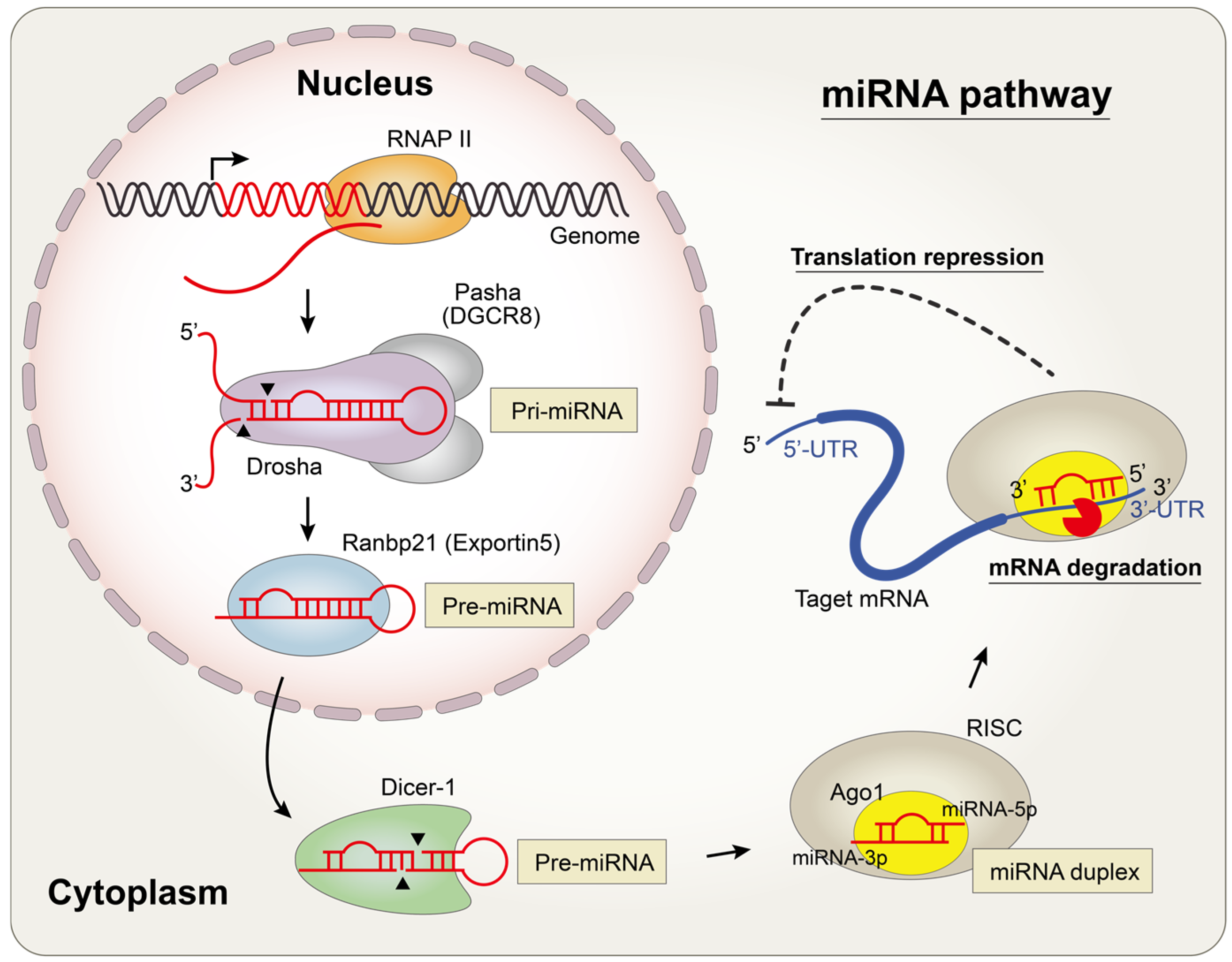 Insects 15 00491 g001