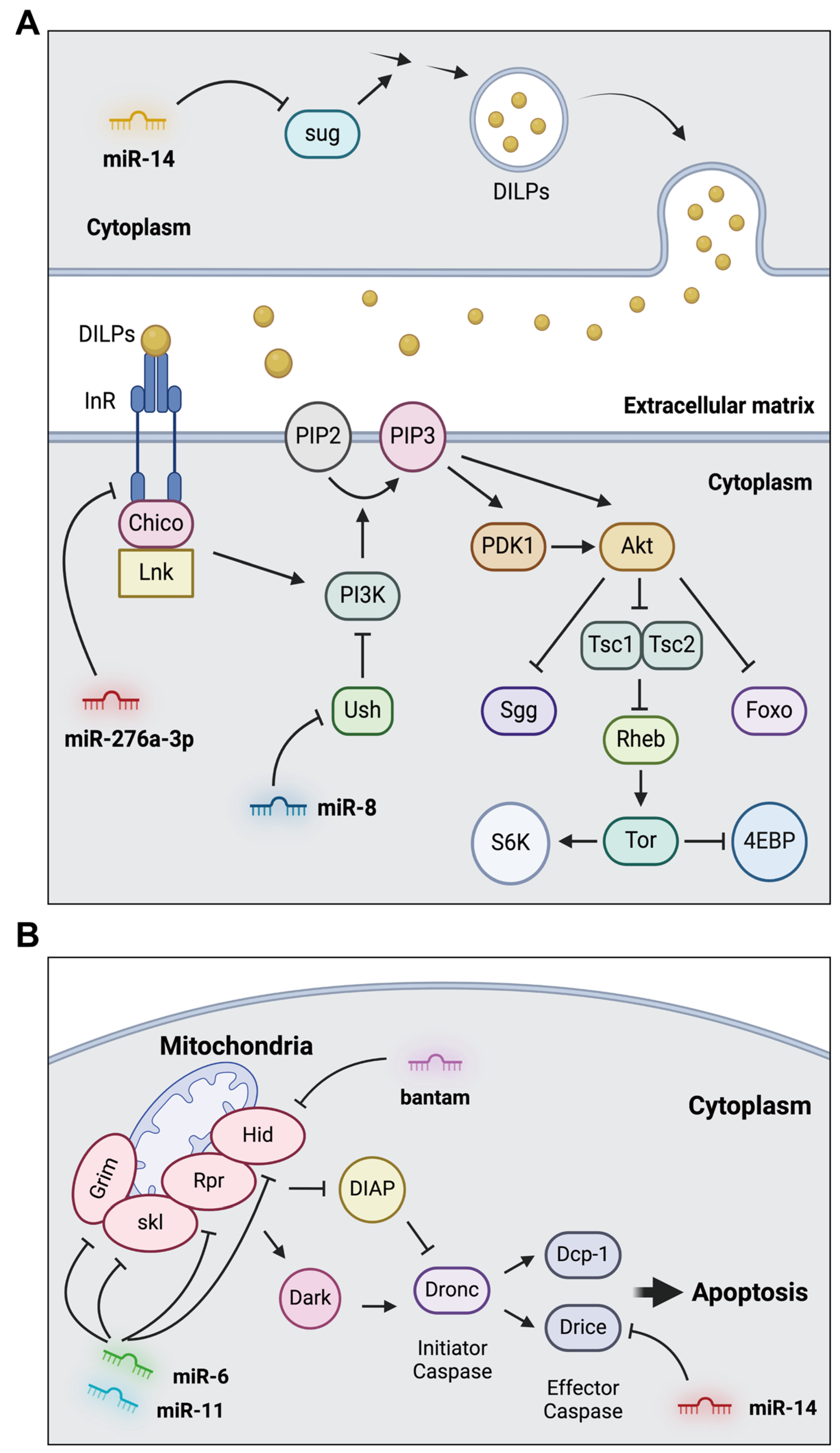 Insects 15 00491 g002
