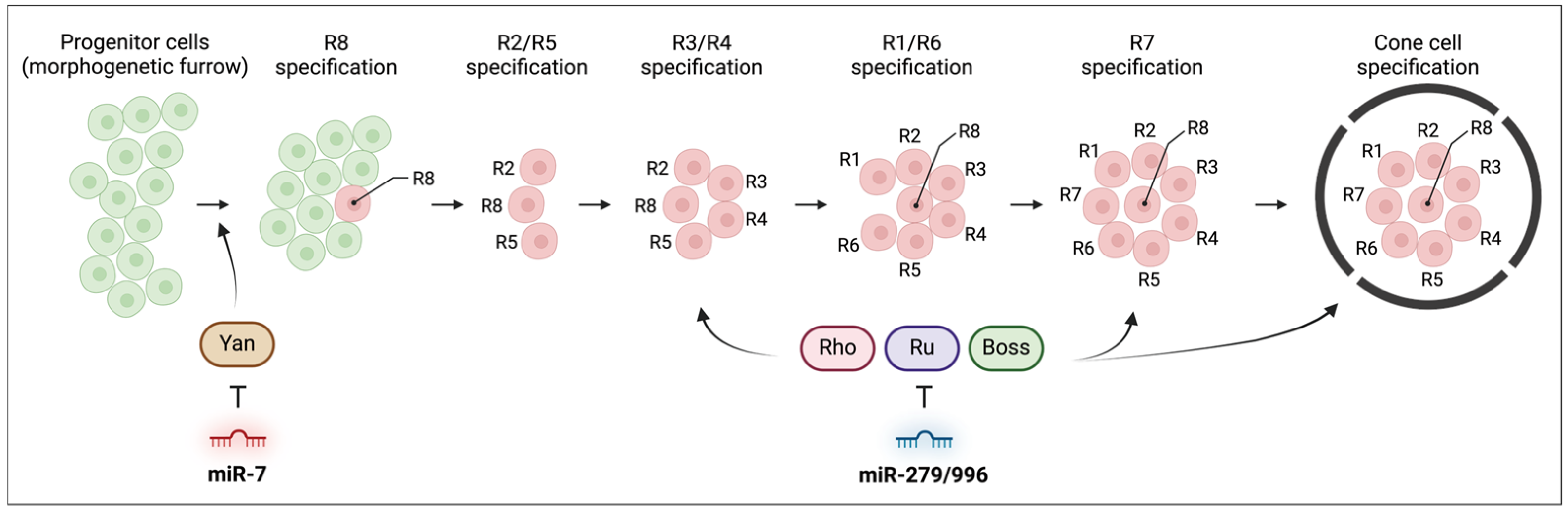 Insects 15 00491 g005