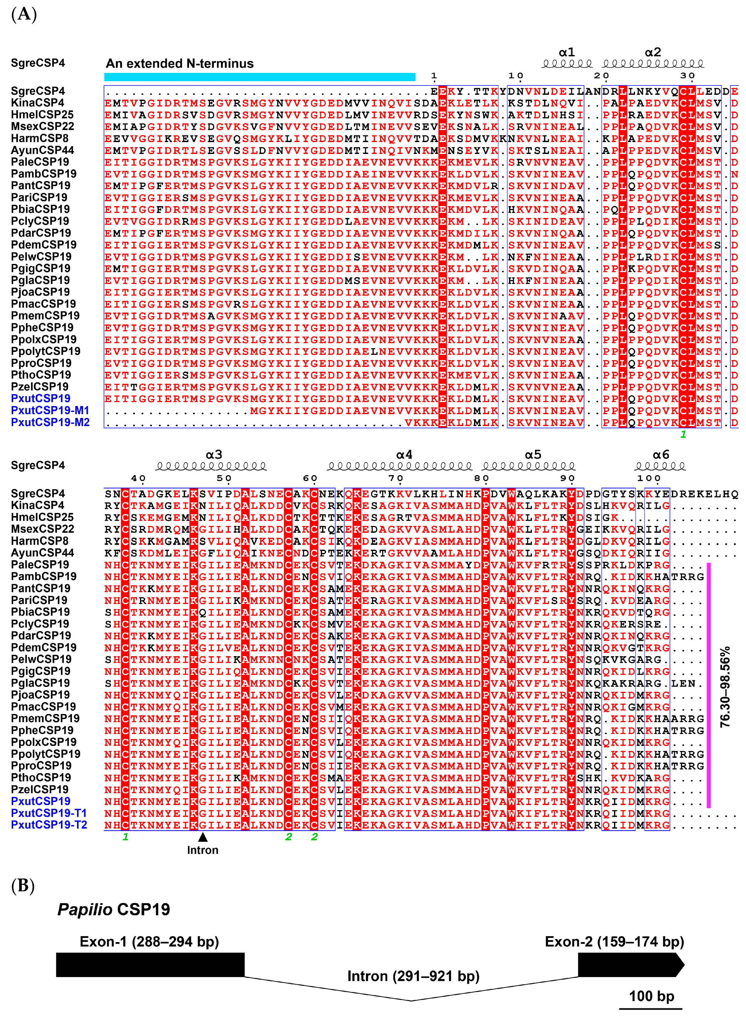 Insects 15 00501 g001 Insects 15 00501 g001