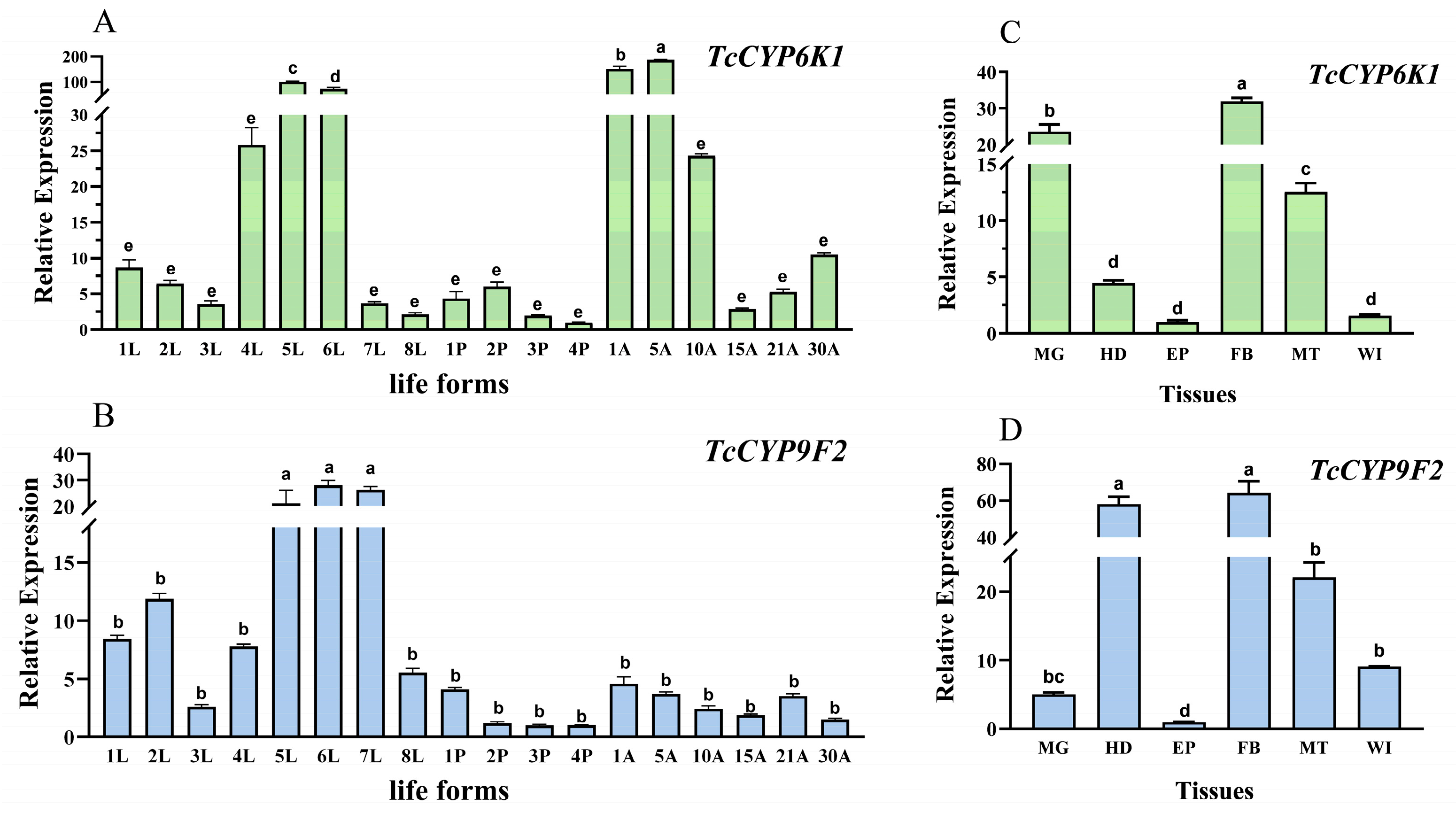 Insects 15 00502 g002