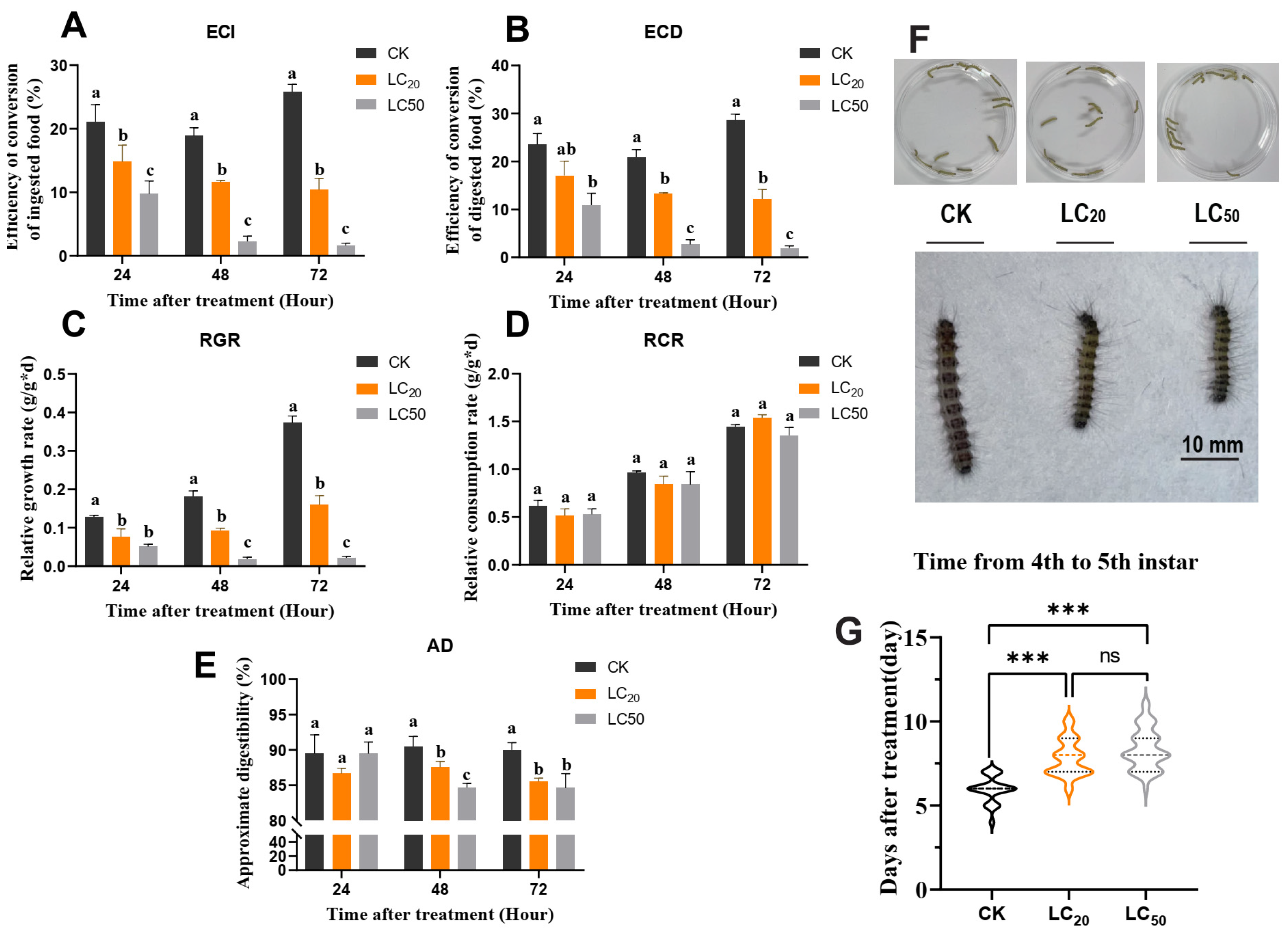 Insects 15 00503 g002