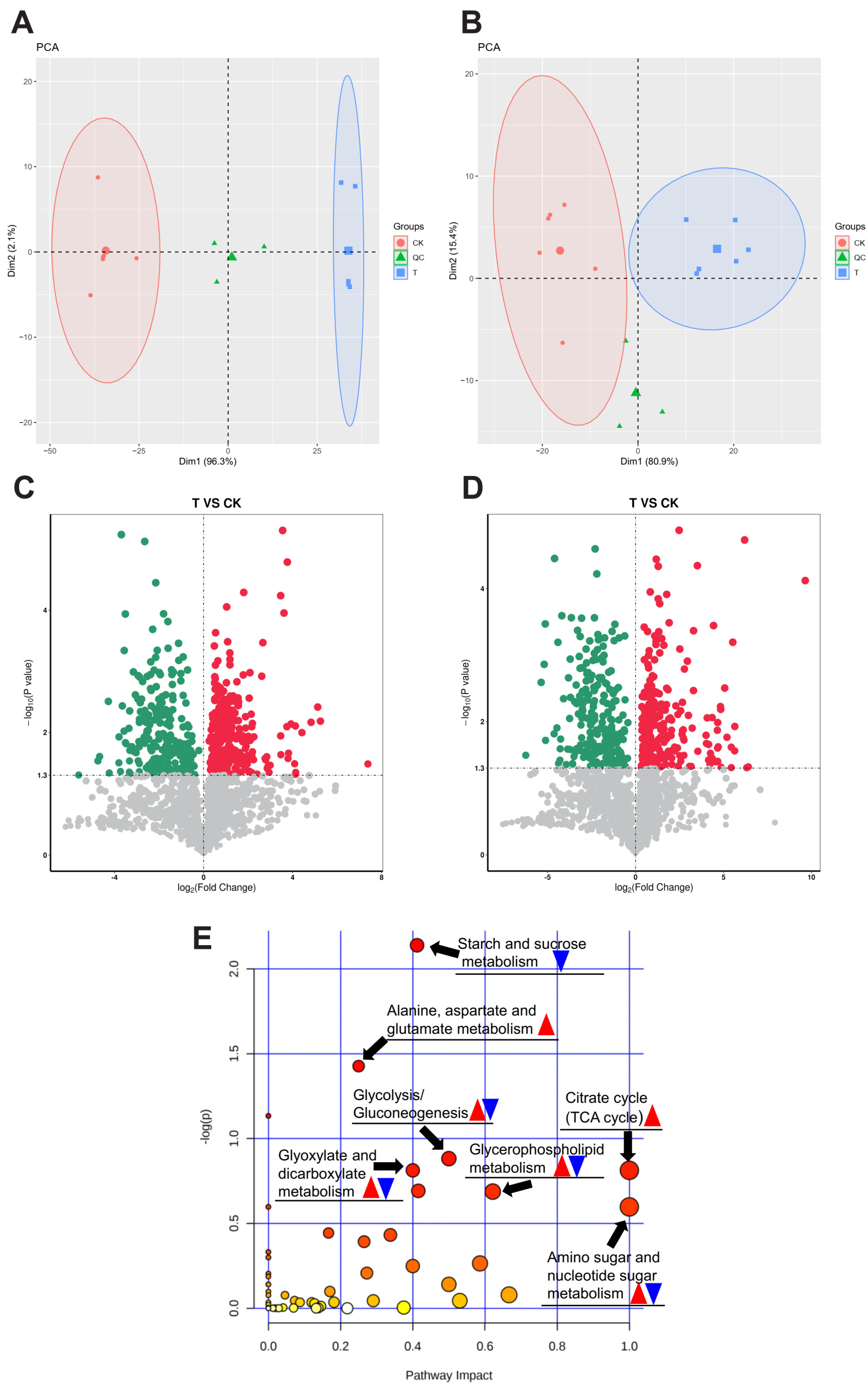 Insects 15 00503 g004