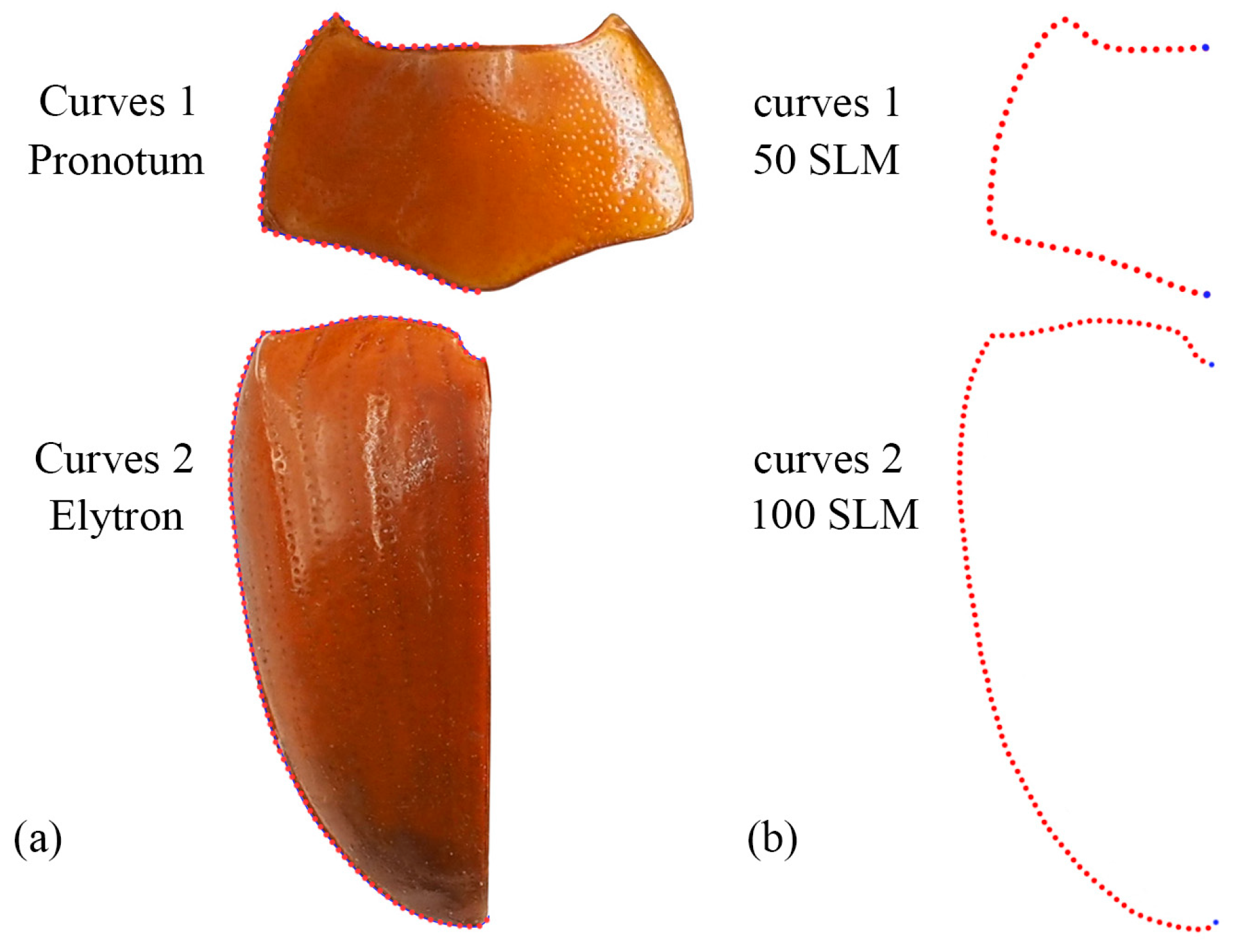Insects 15 00508 g001