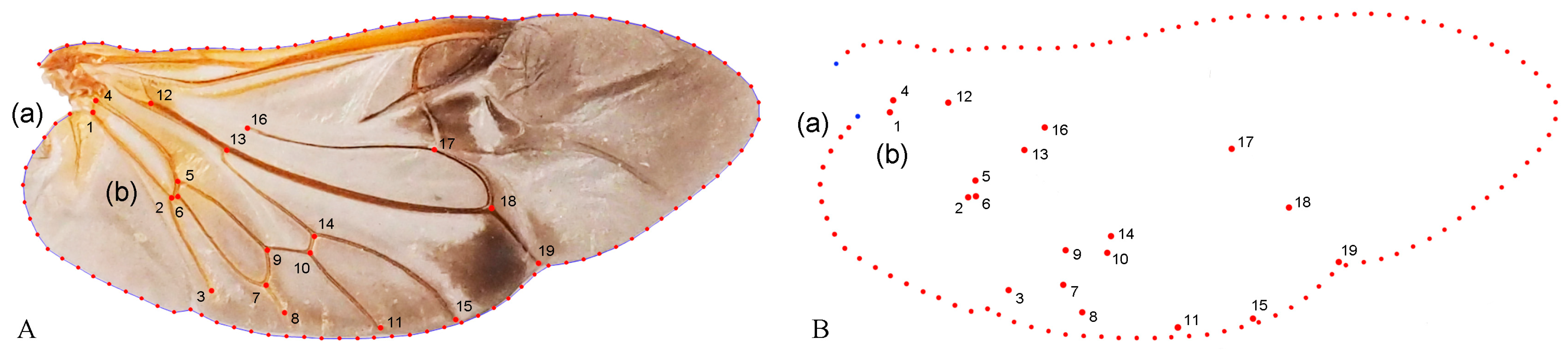 Insects 15 00508 g002
