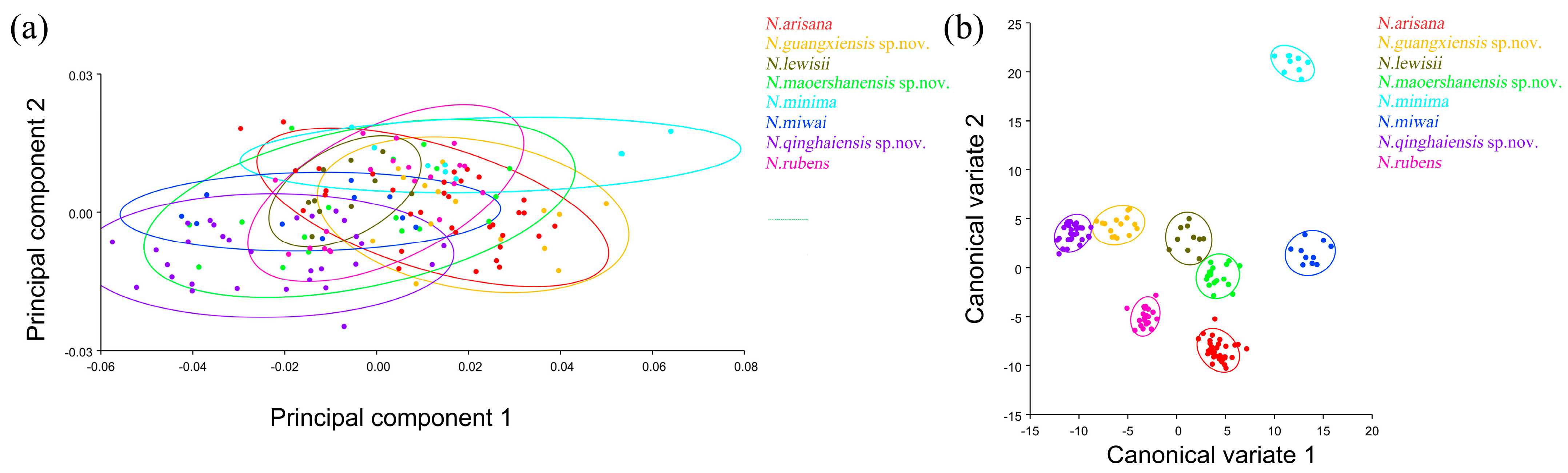 Insects 15 00508 g007