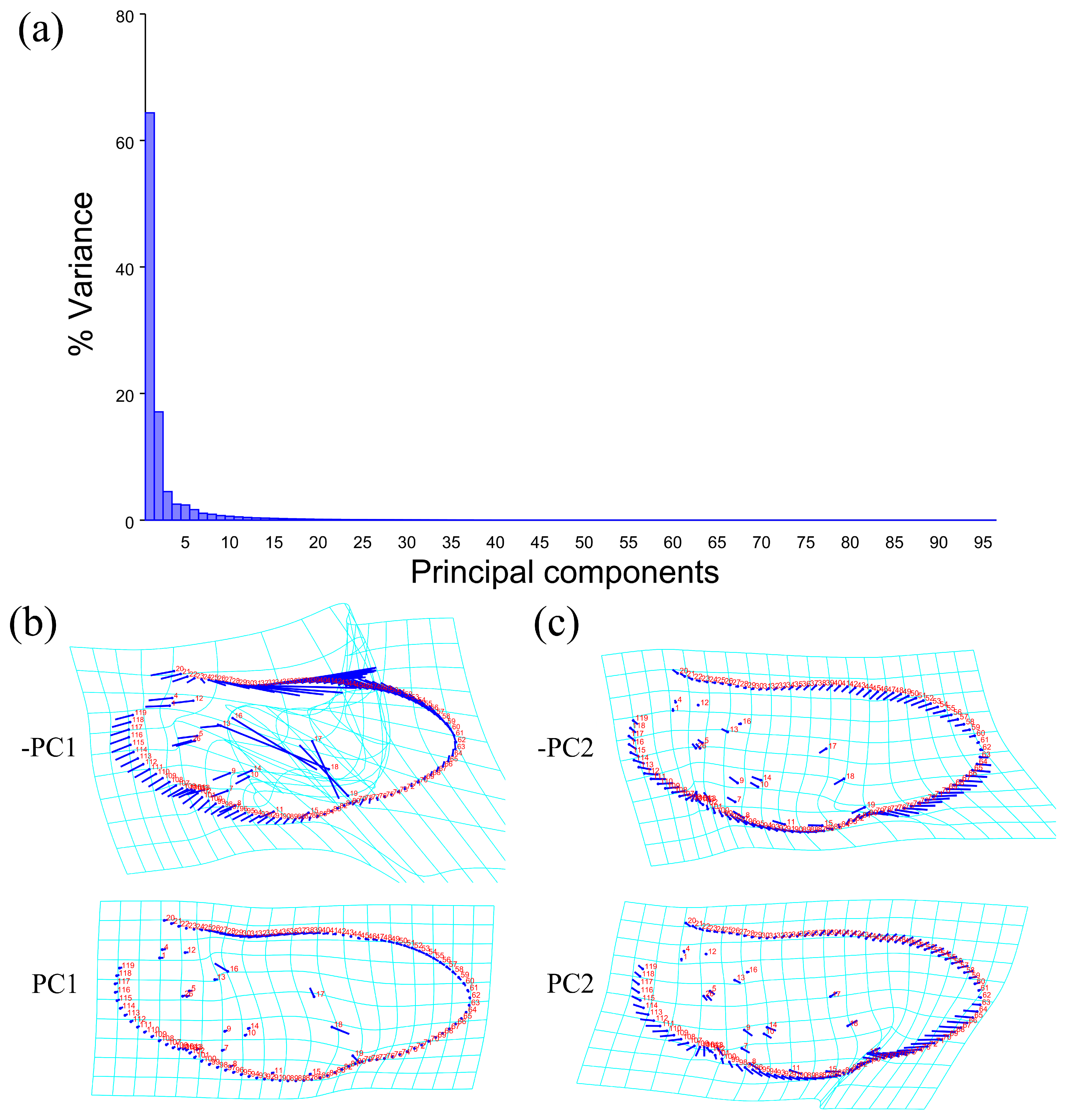 Insects 15 00508 g008