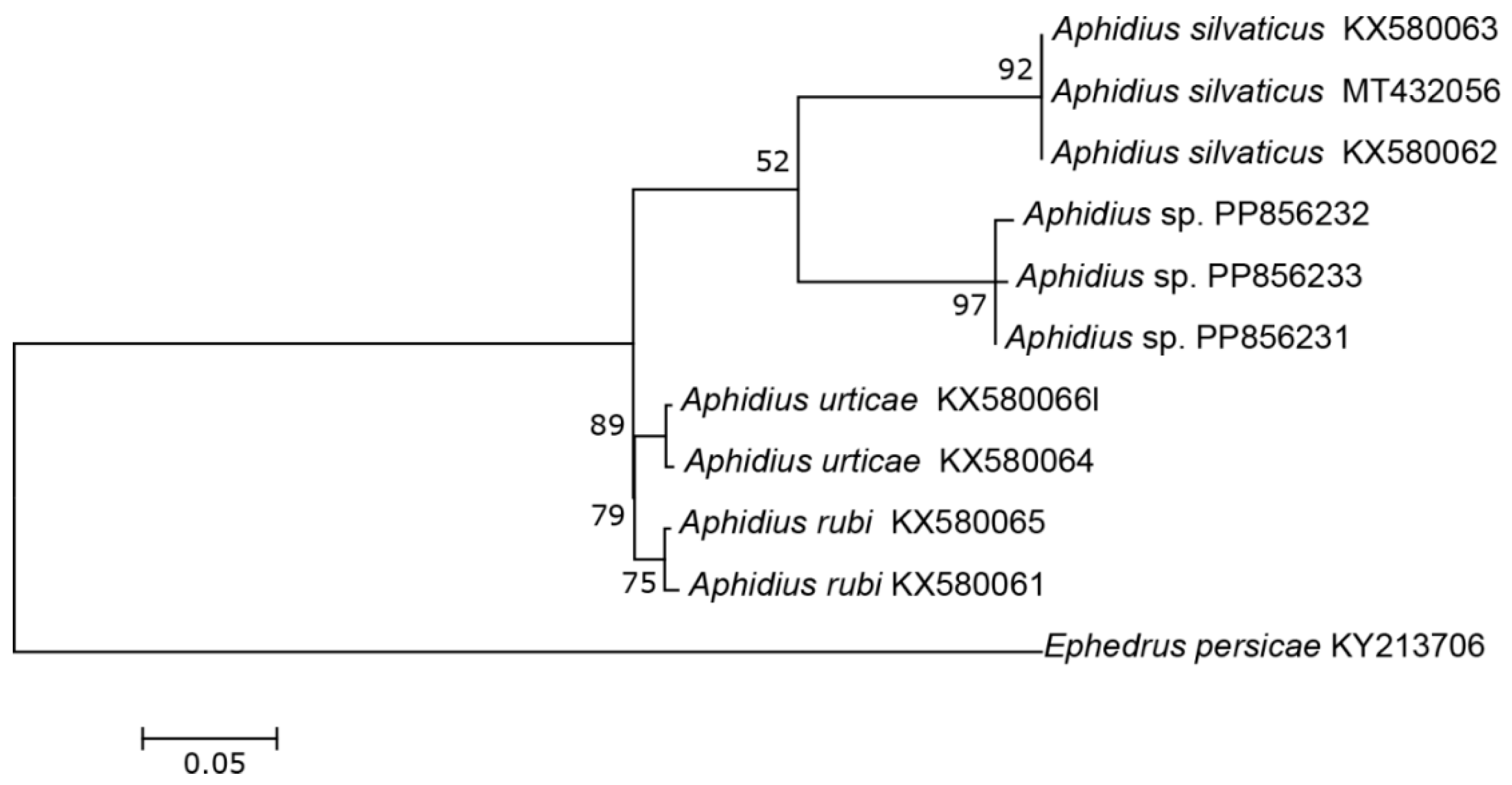 Insects 15 00518 g002