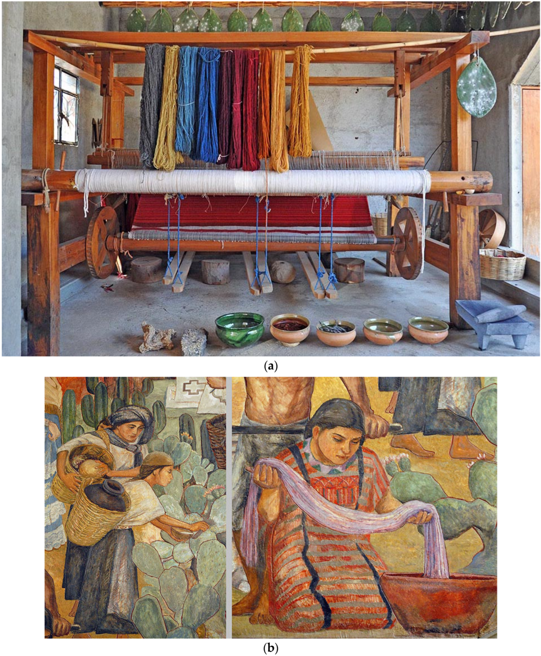 Insects 15 00519 g002