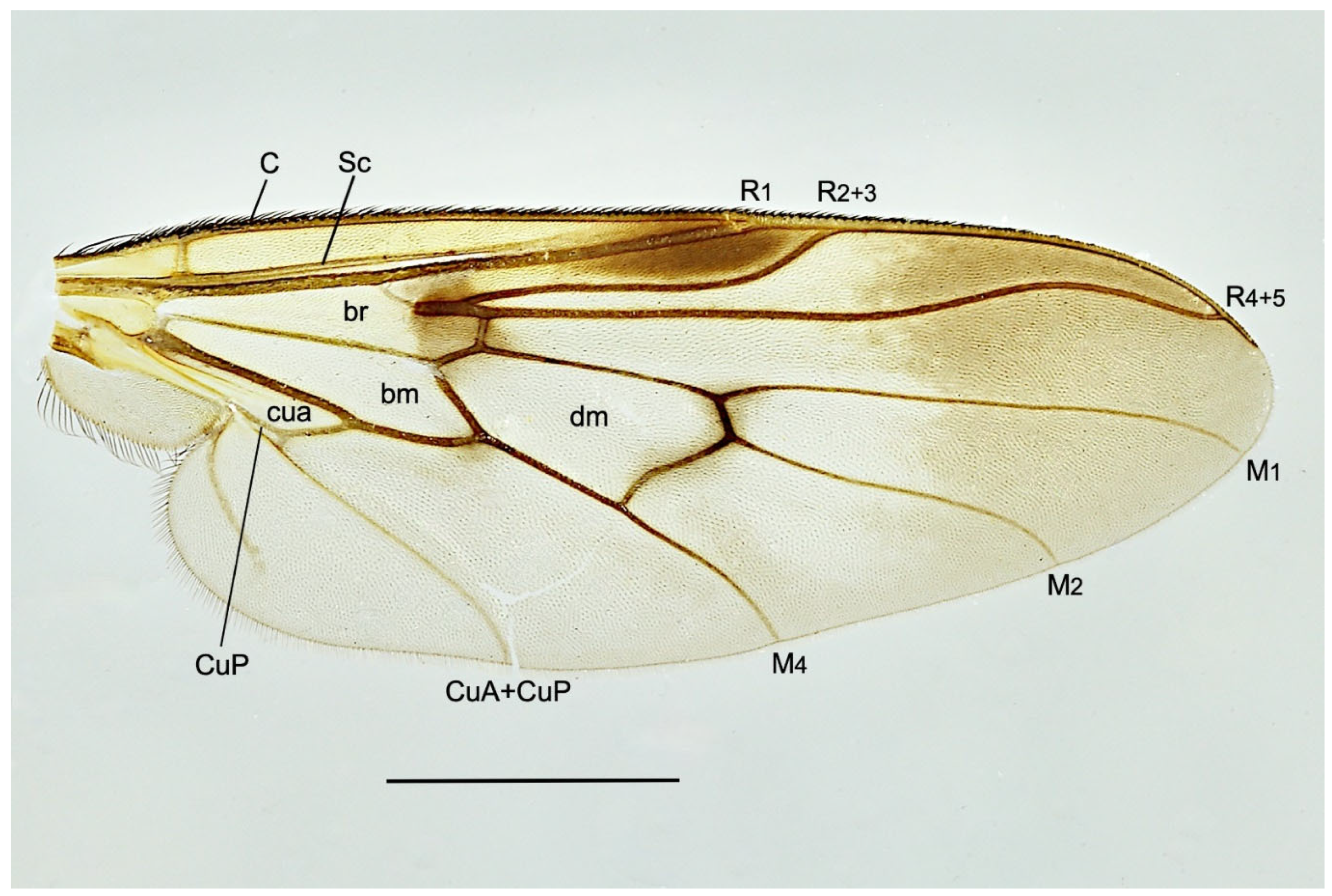 Insects 15 00524 g006