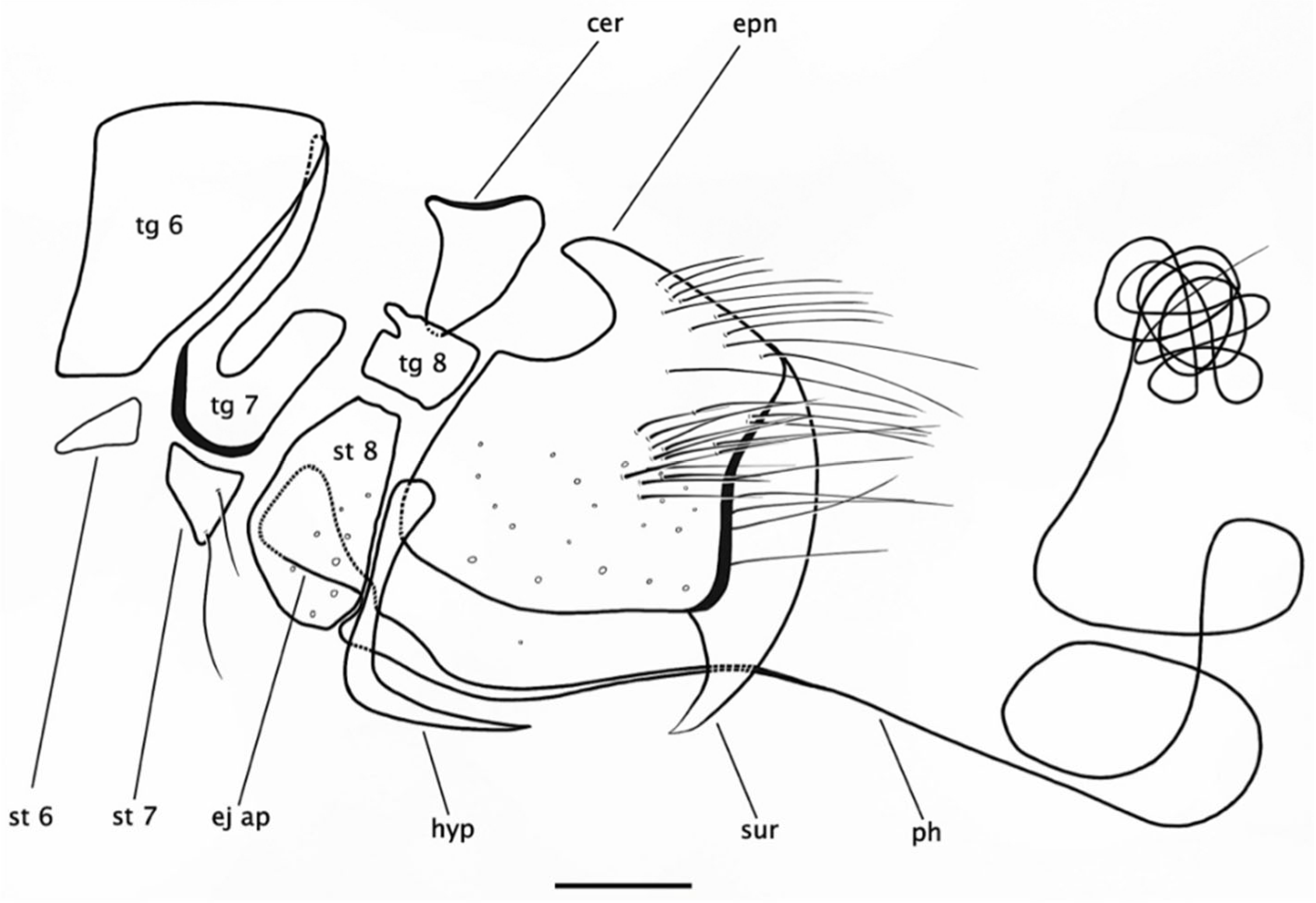 Insects 15 00524 g009