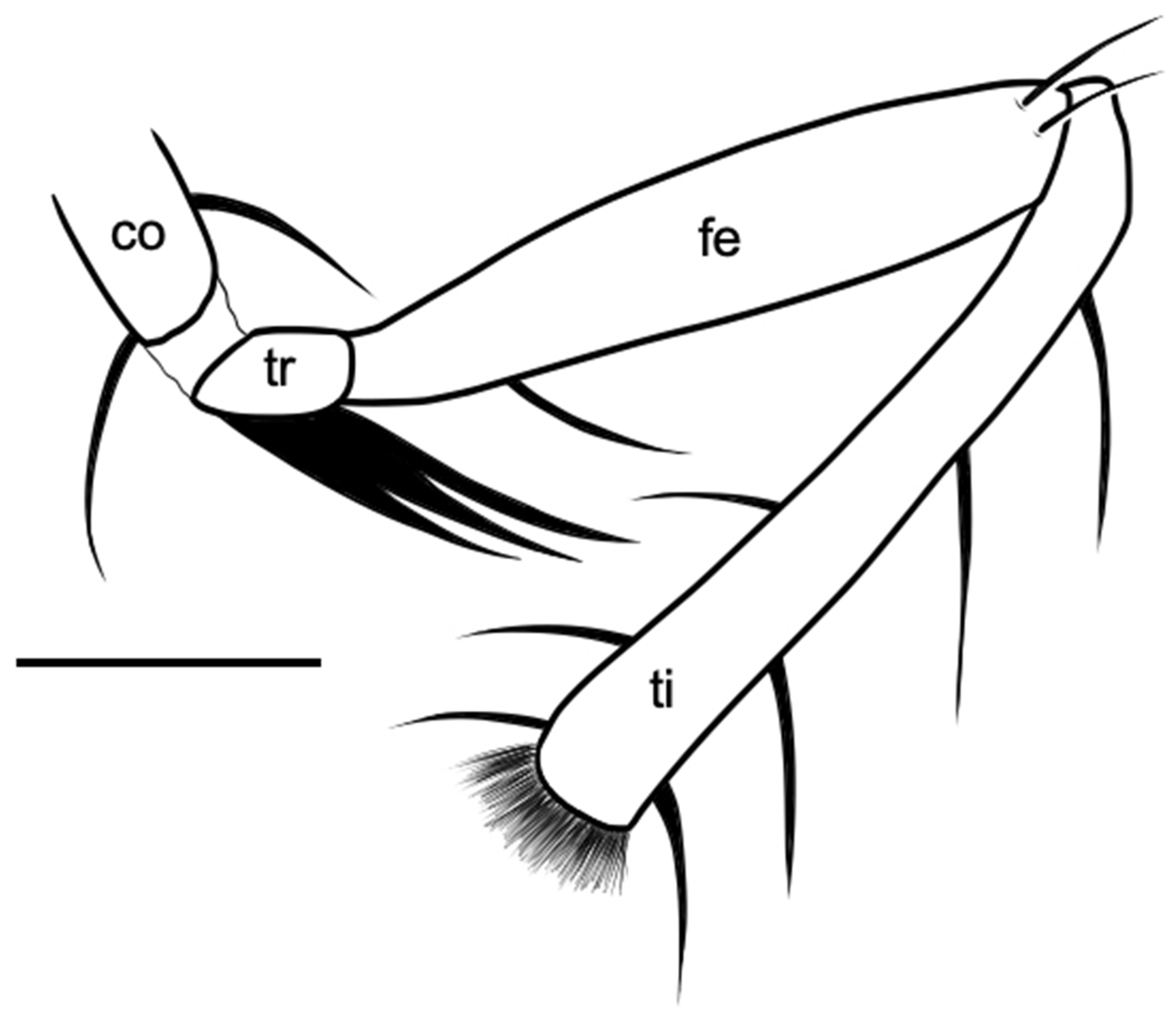 Insects 15 00524 g011