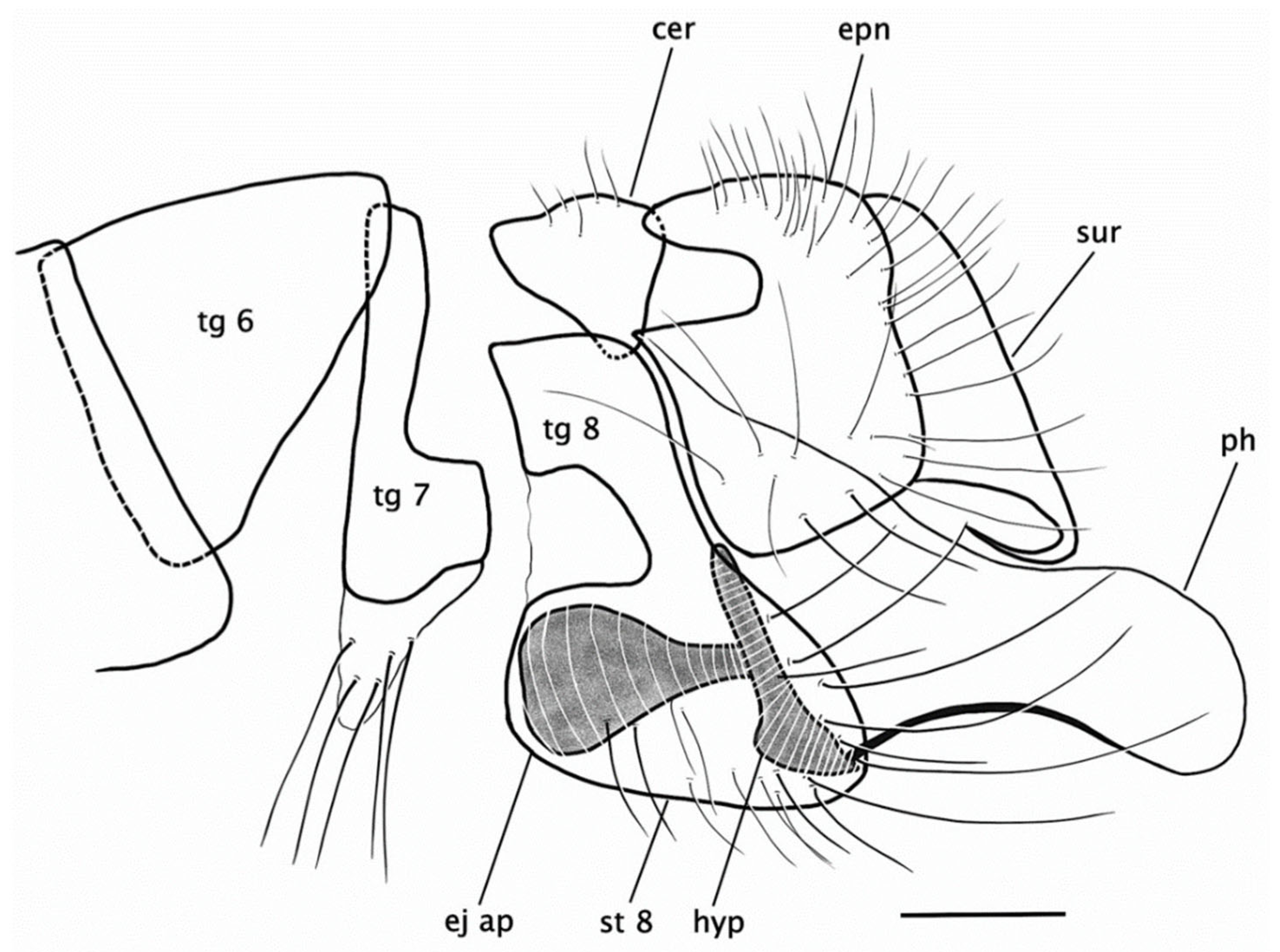 Insects 15 00524 g012
