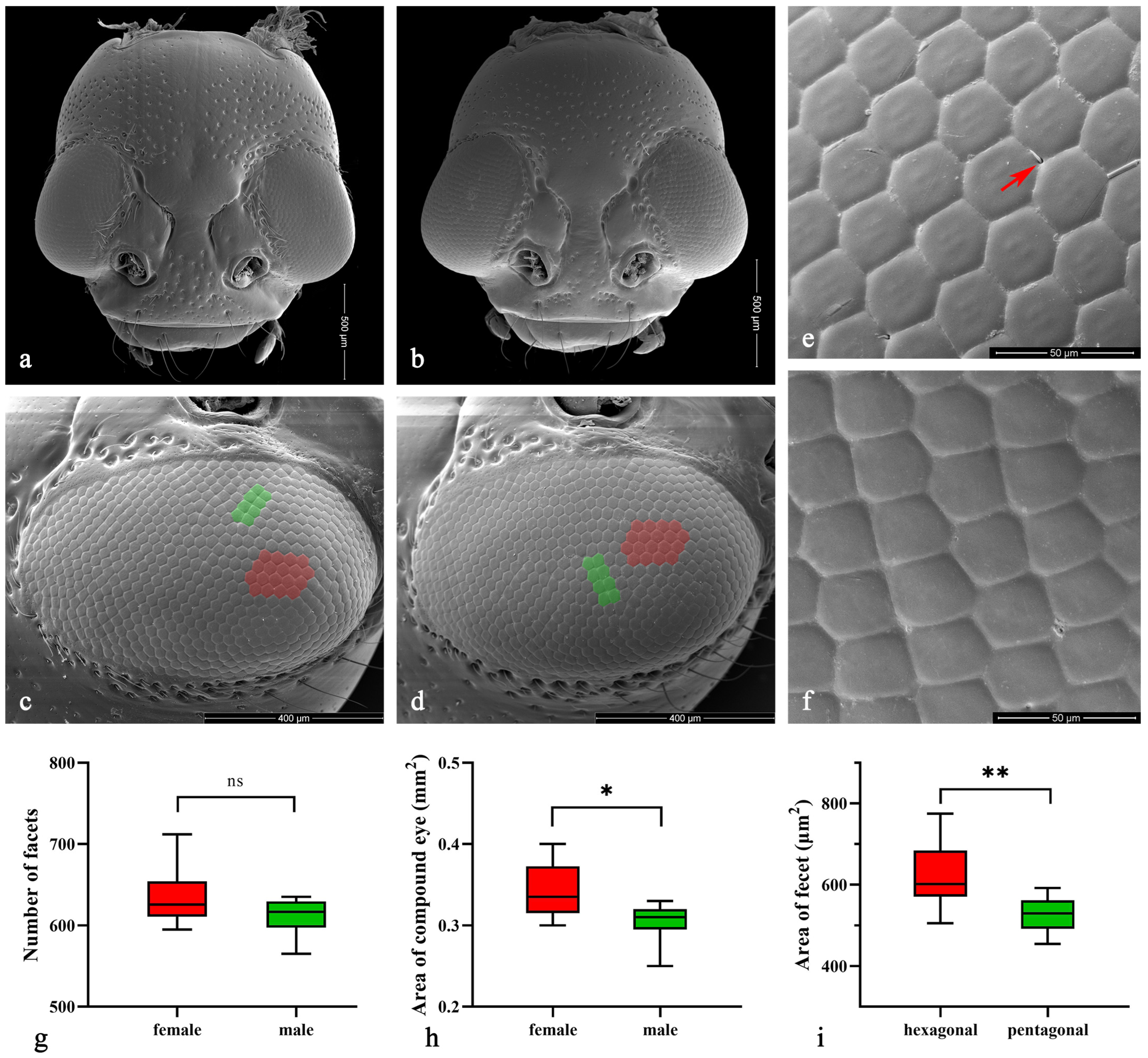 Insects 15 00532 g003 Insects 15 00532 g003