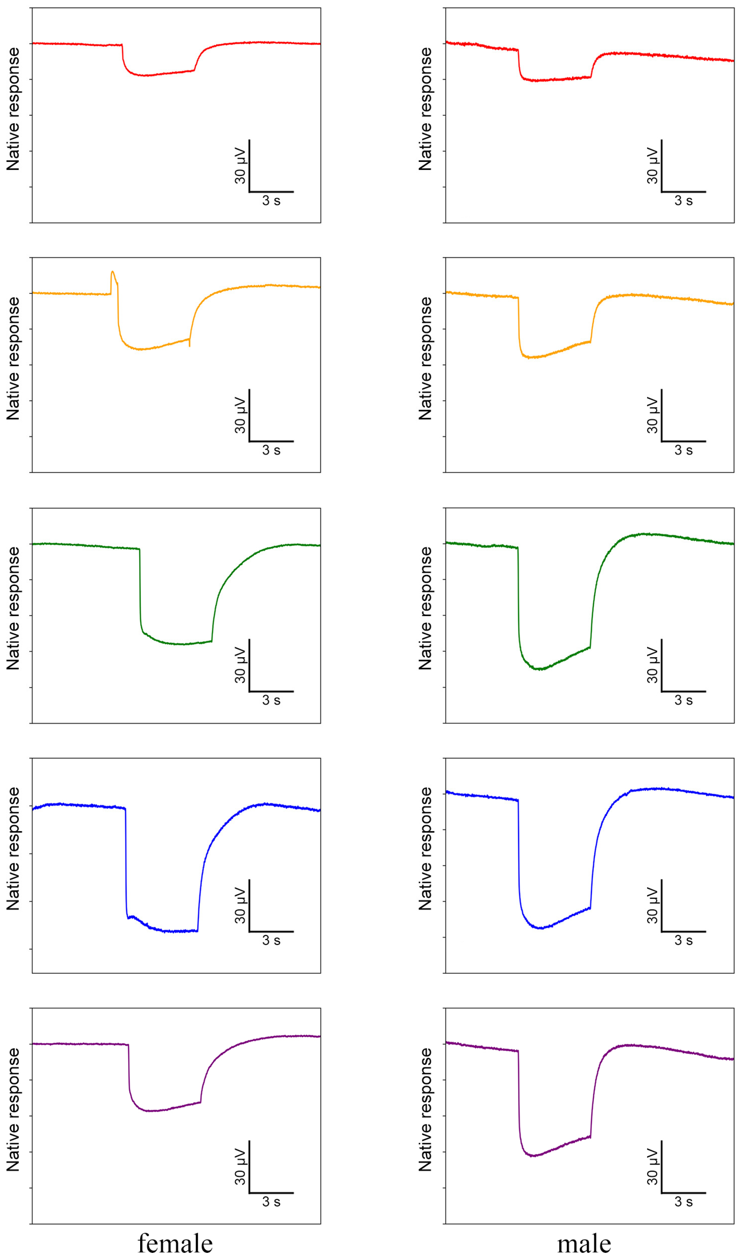 Insects 15 00532 g007 Insects 15 00532 g007