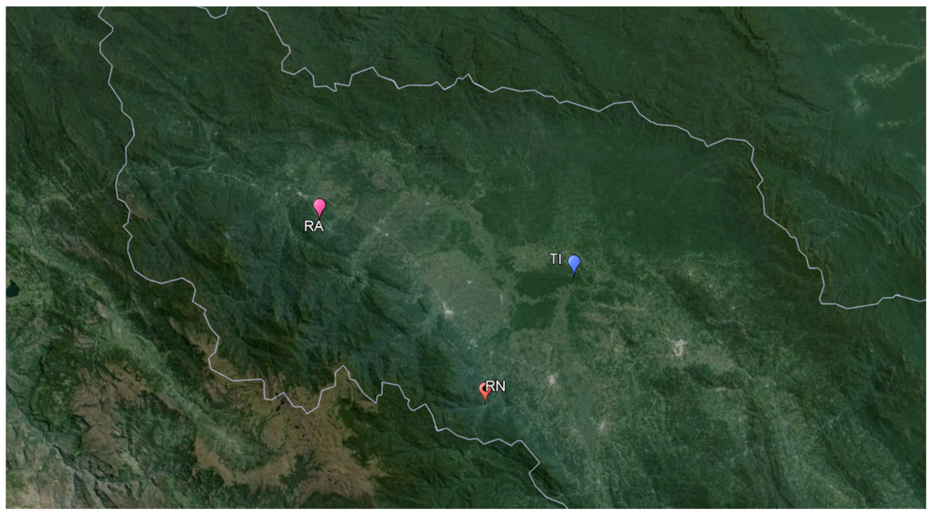 Insects 15 00544 g003