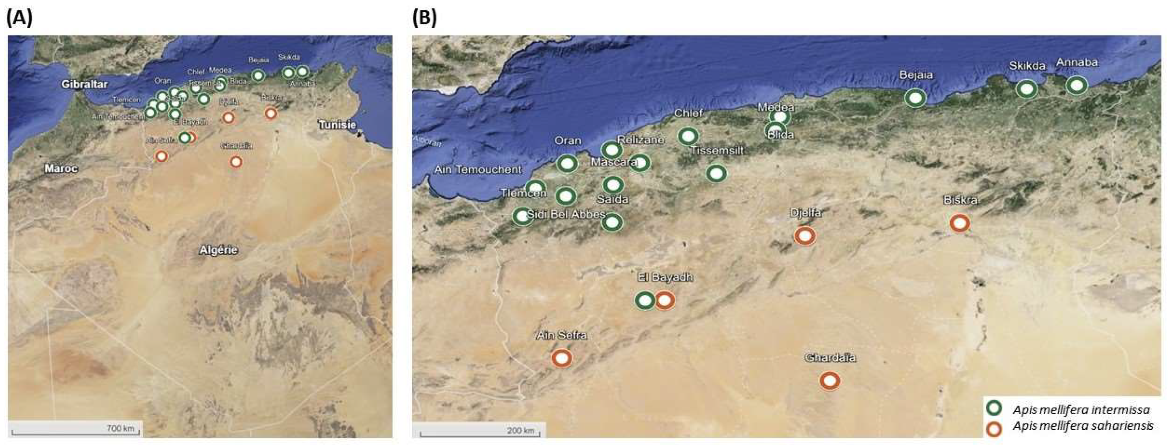 Insects 15 00549 g001 Insects 15 00549 g001