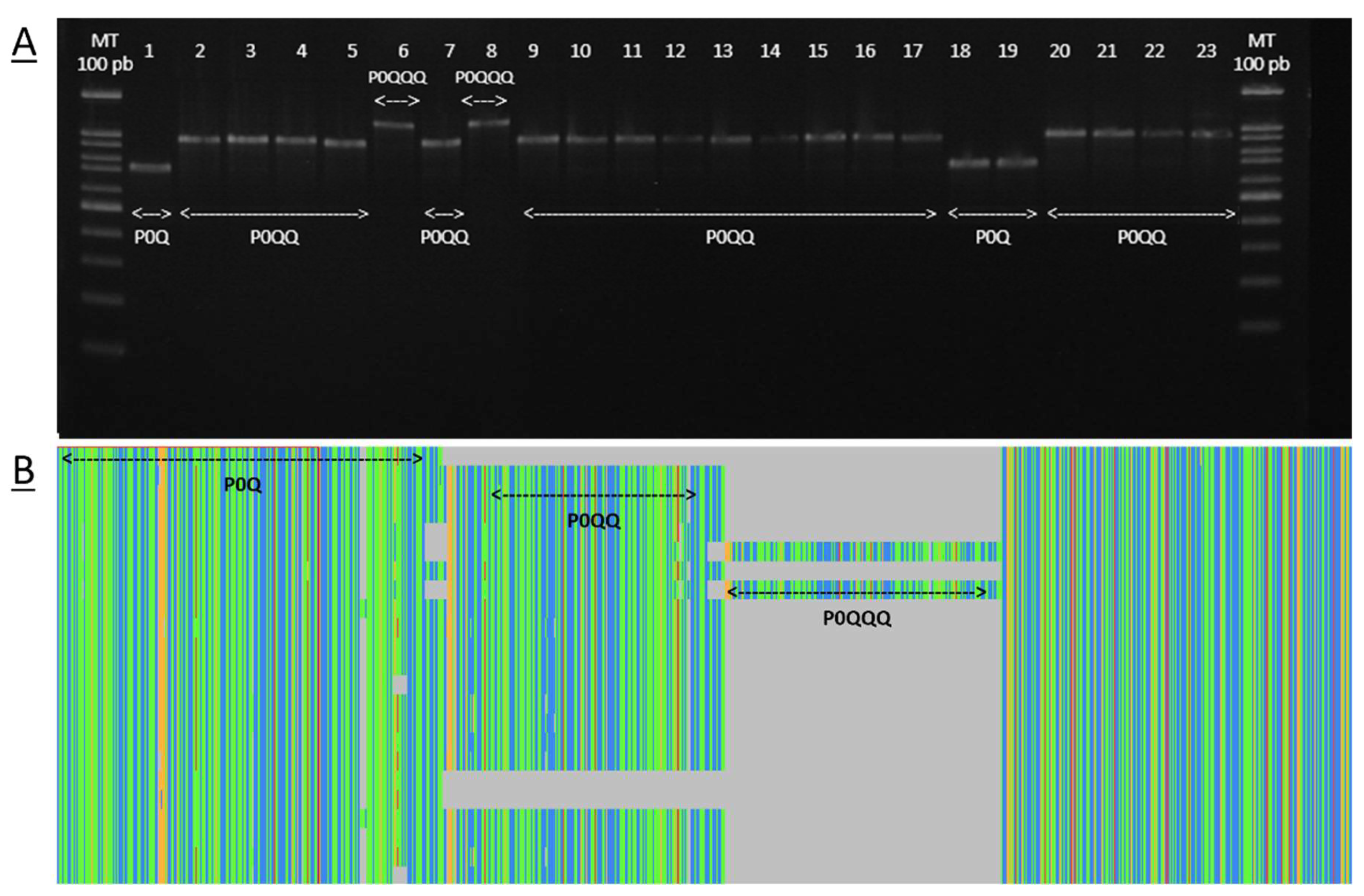 Insects 15 00549 g002 Insects 15 00549 g002