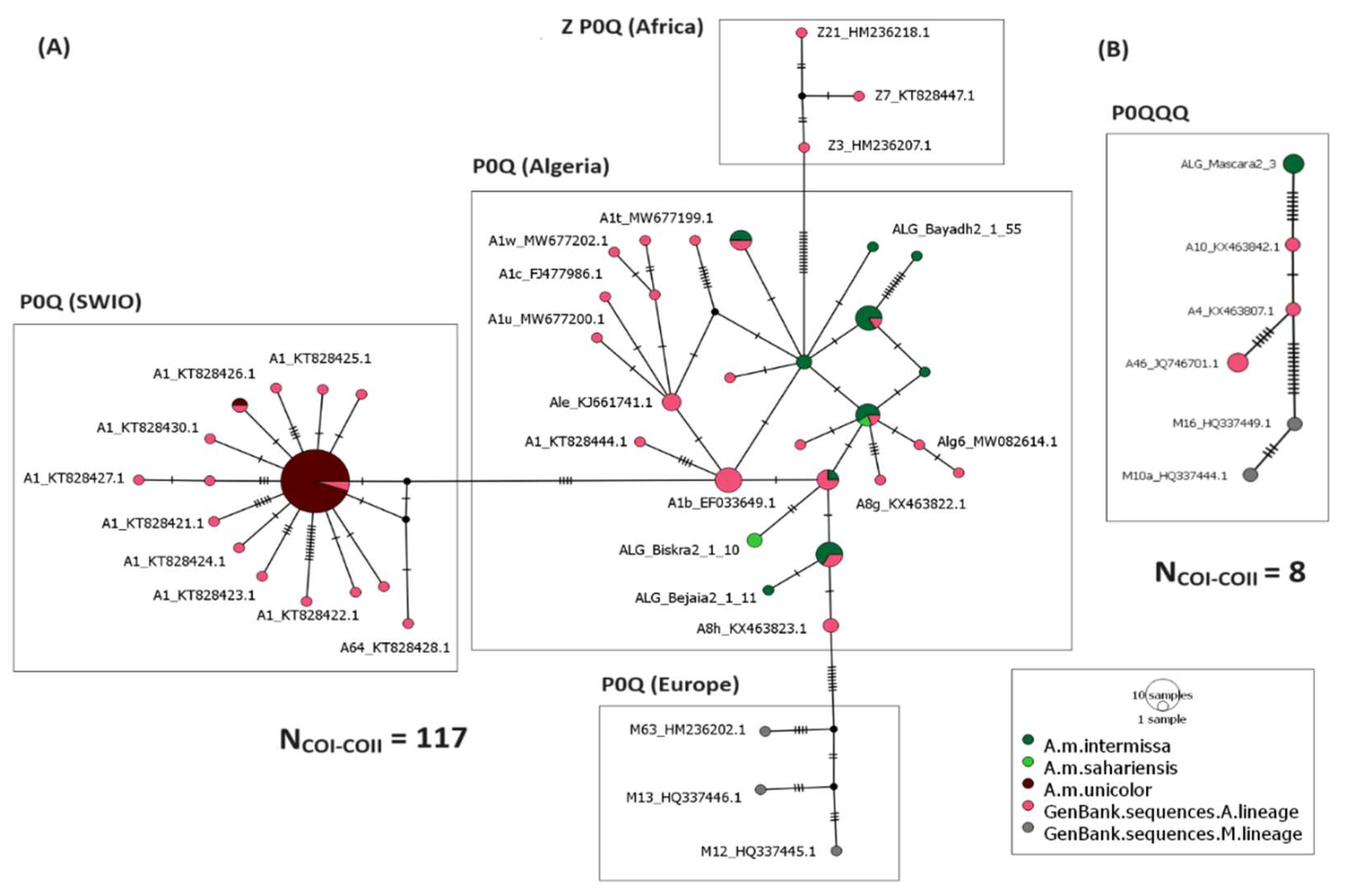 Insects 15 00549 g003 Insects 15 00549 g003