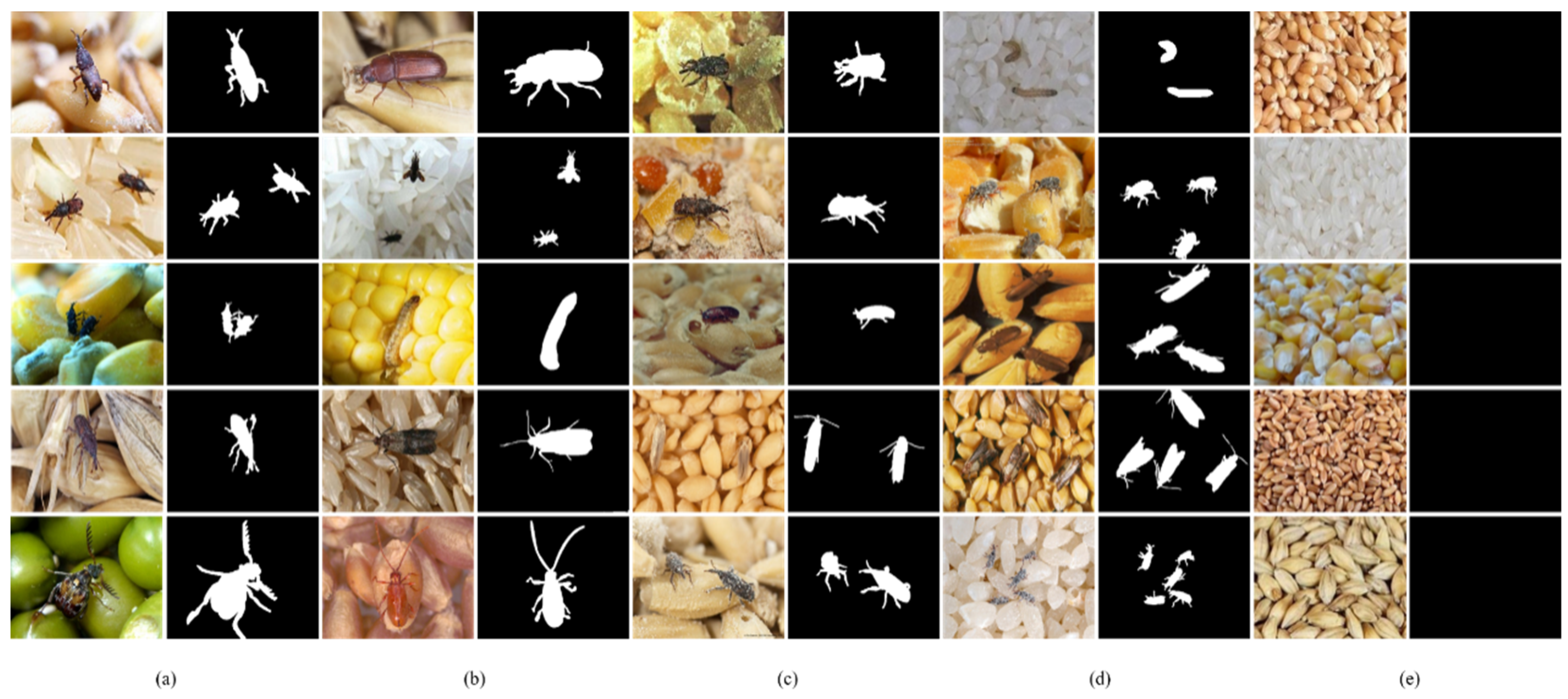 Insects 15 00557 g003