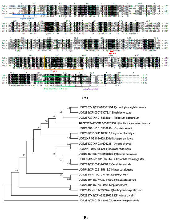 Expression and Functional Analysis of Two Cytochrome P450
