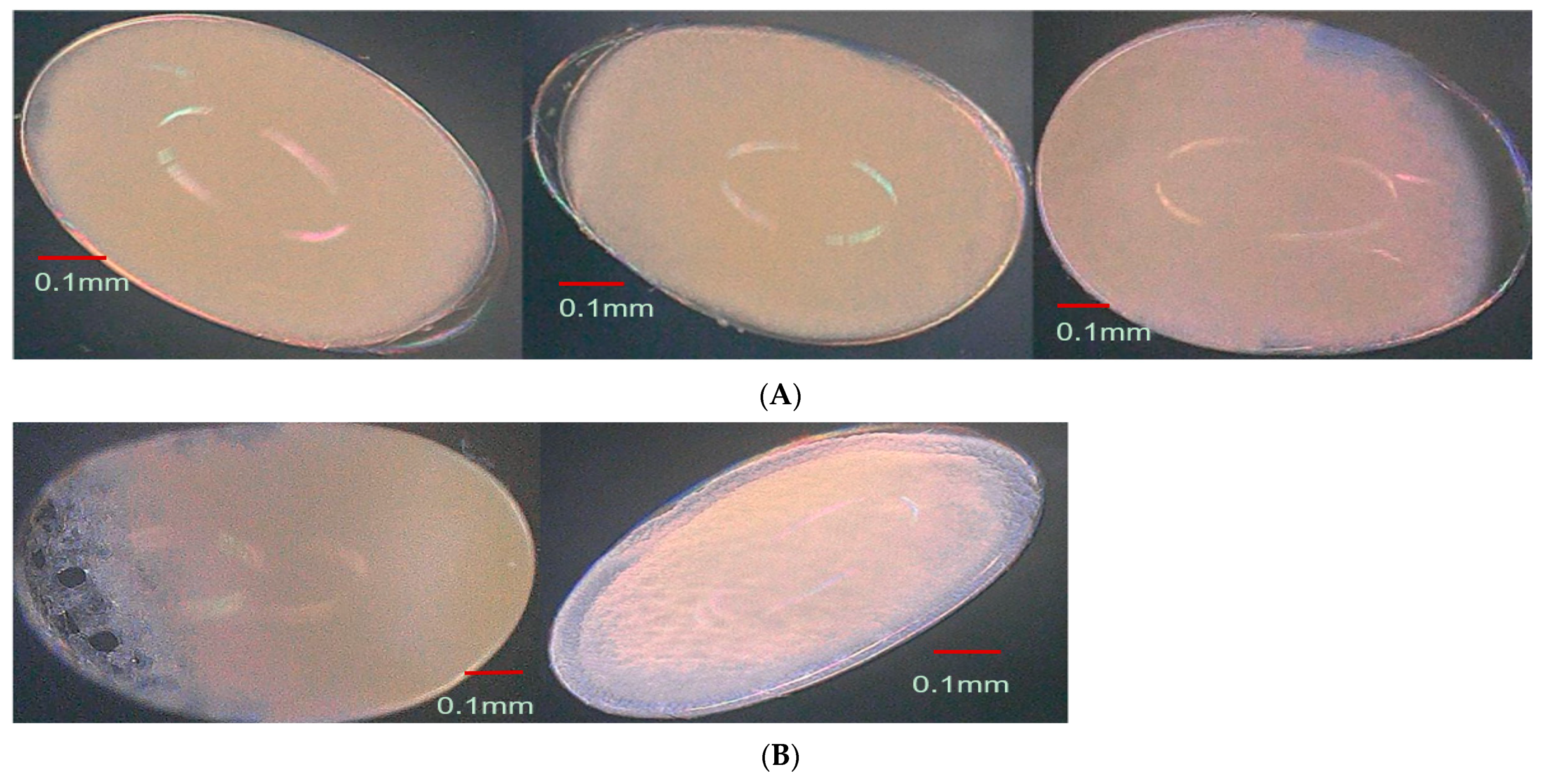 Insects 15 00562 g004a Insects 15 00562 g004a