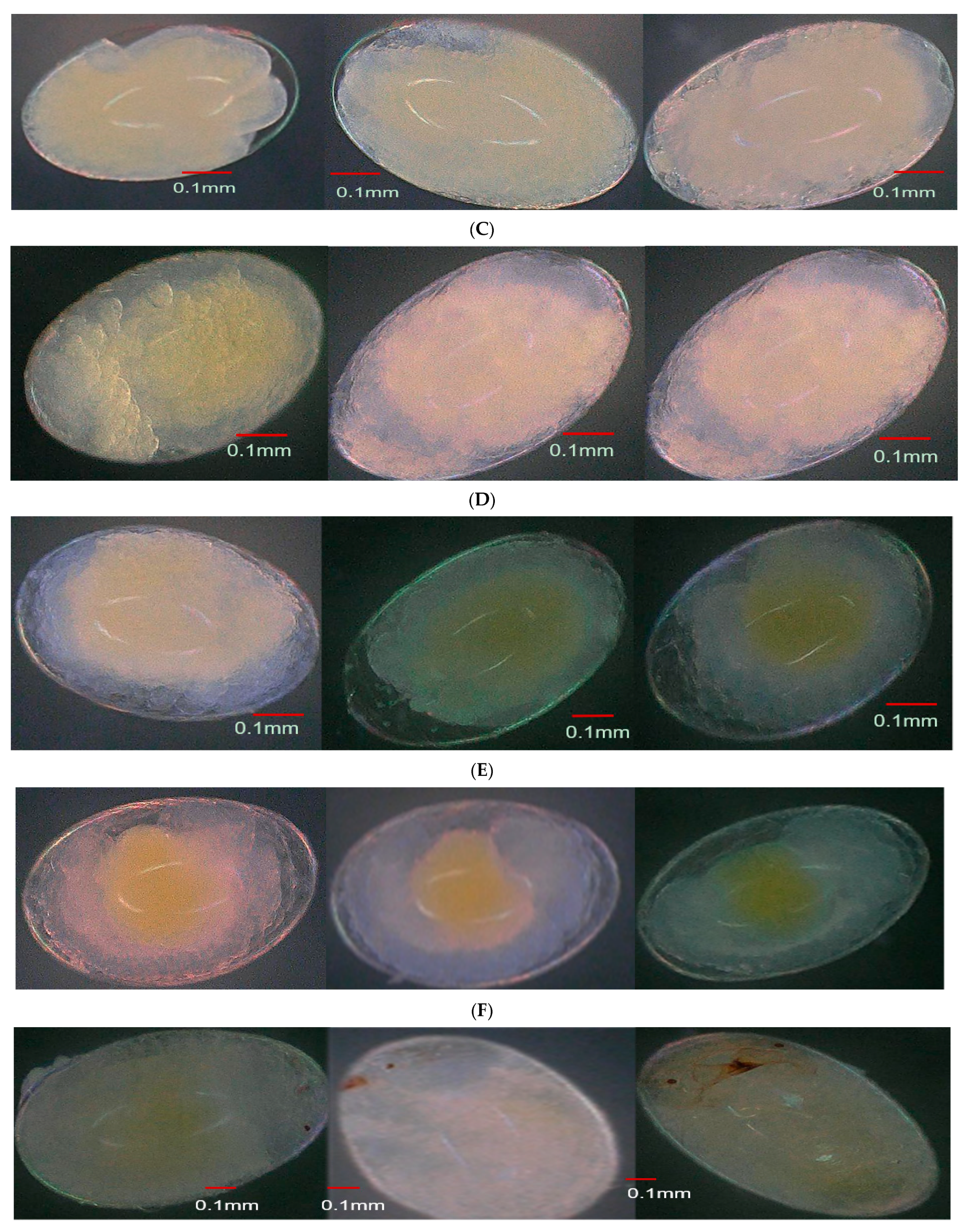 Insects 15 00562 g004b Insects 15 00562 g004b