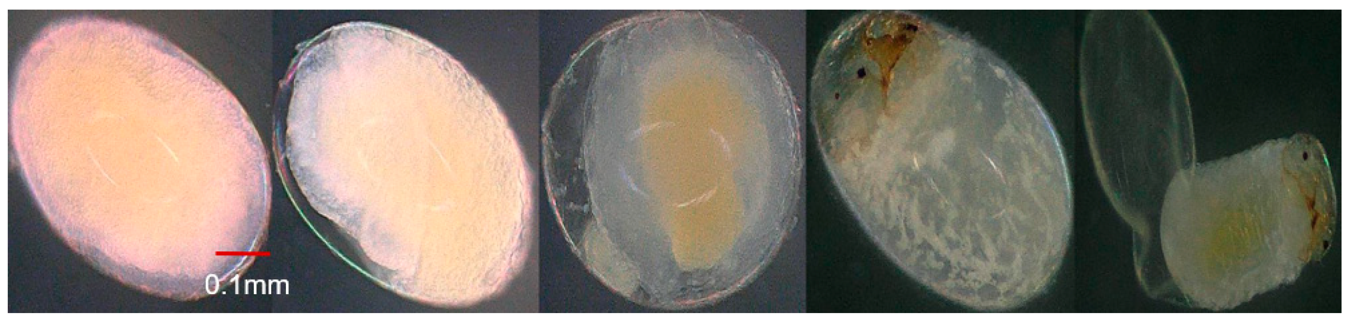 Insects 15 00562 g005 Insects 15 00562 g005