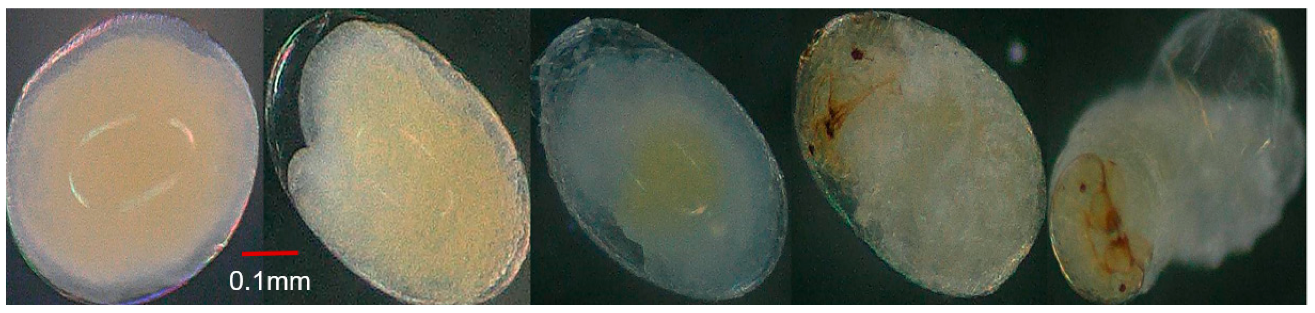 Insects 15 00562 g006 Insects 15 00562 g006